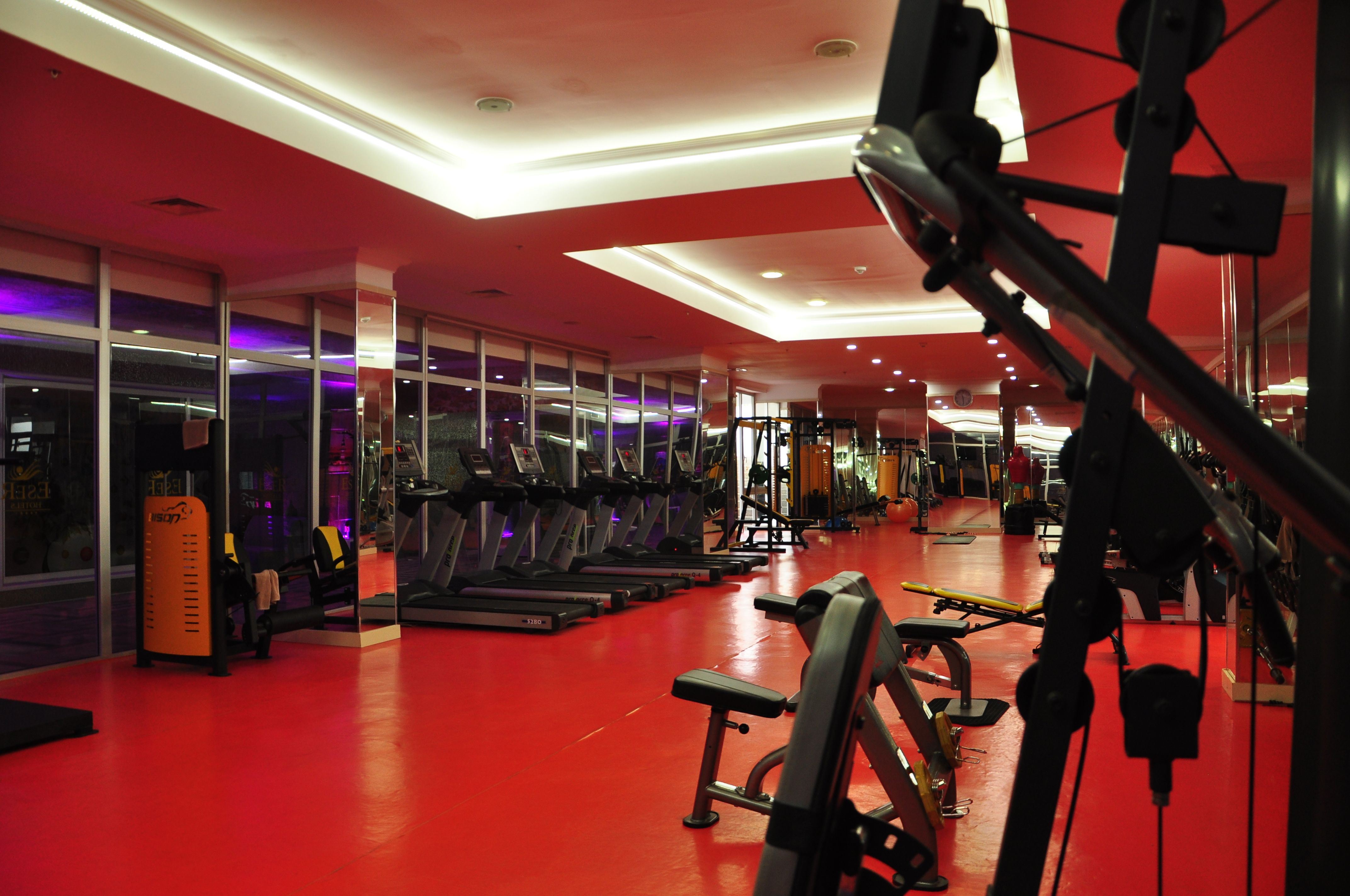 Sport
