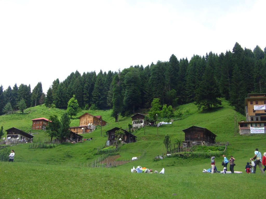 Clădirea principala