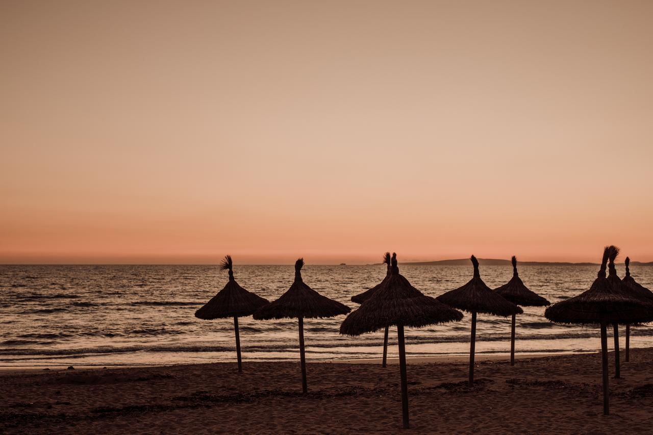 Plajă 