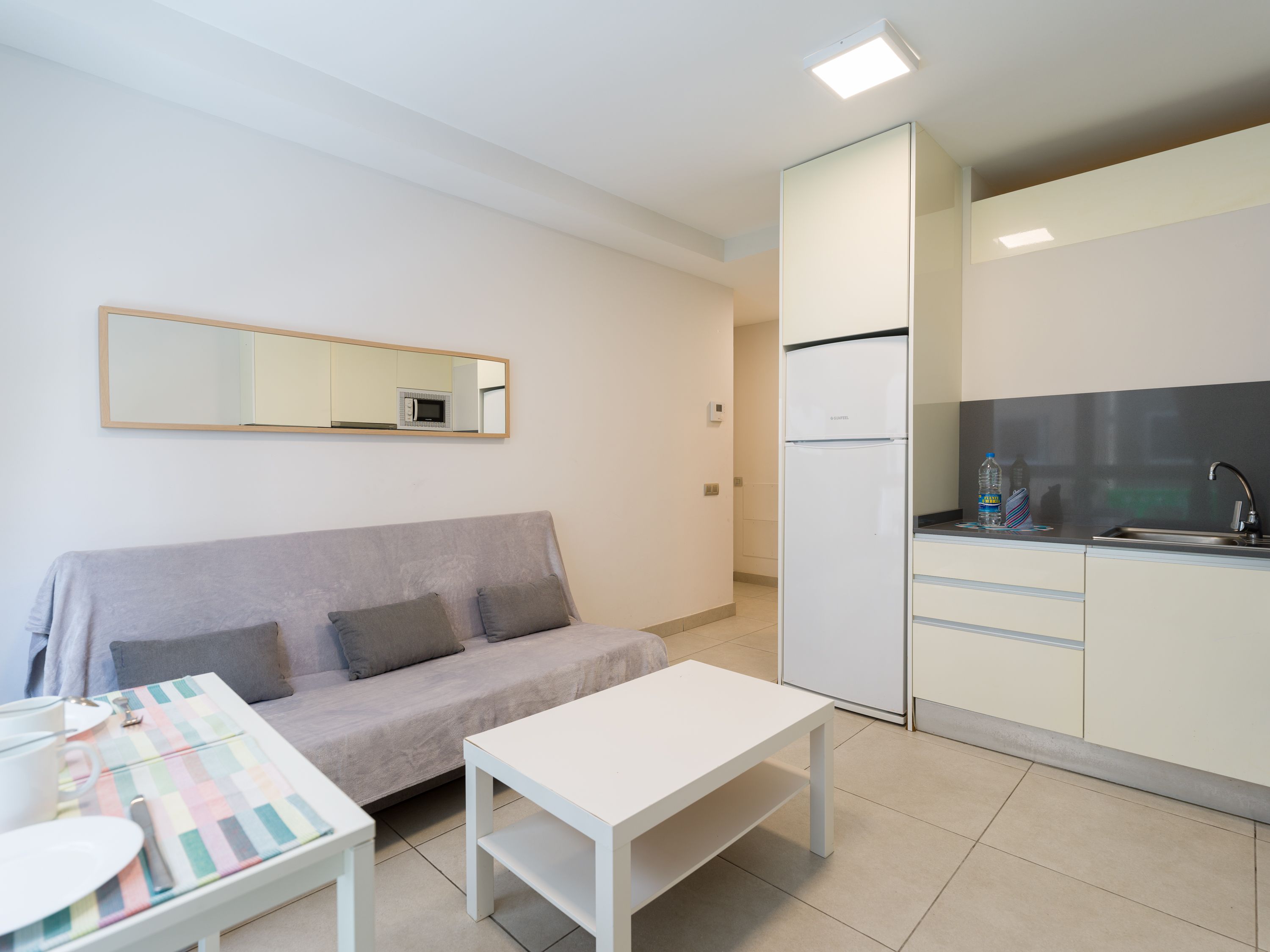 Economic 1 bedroom apartment