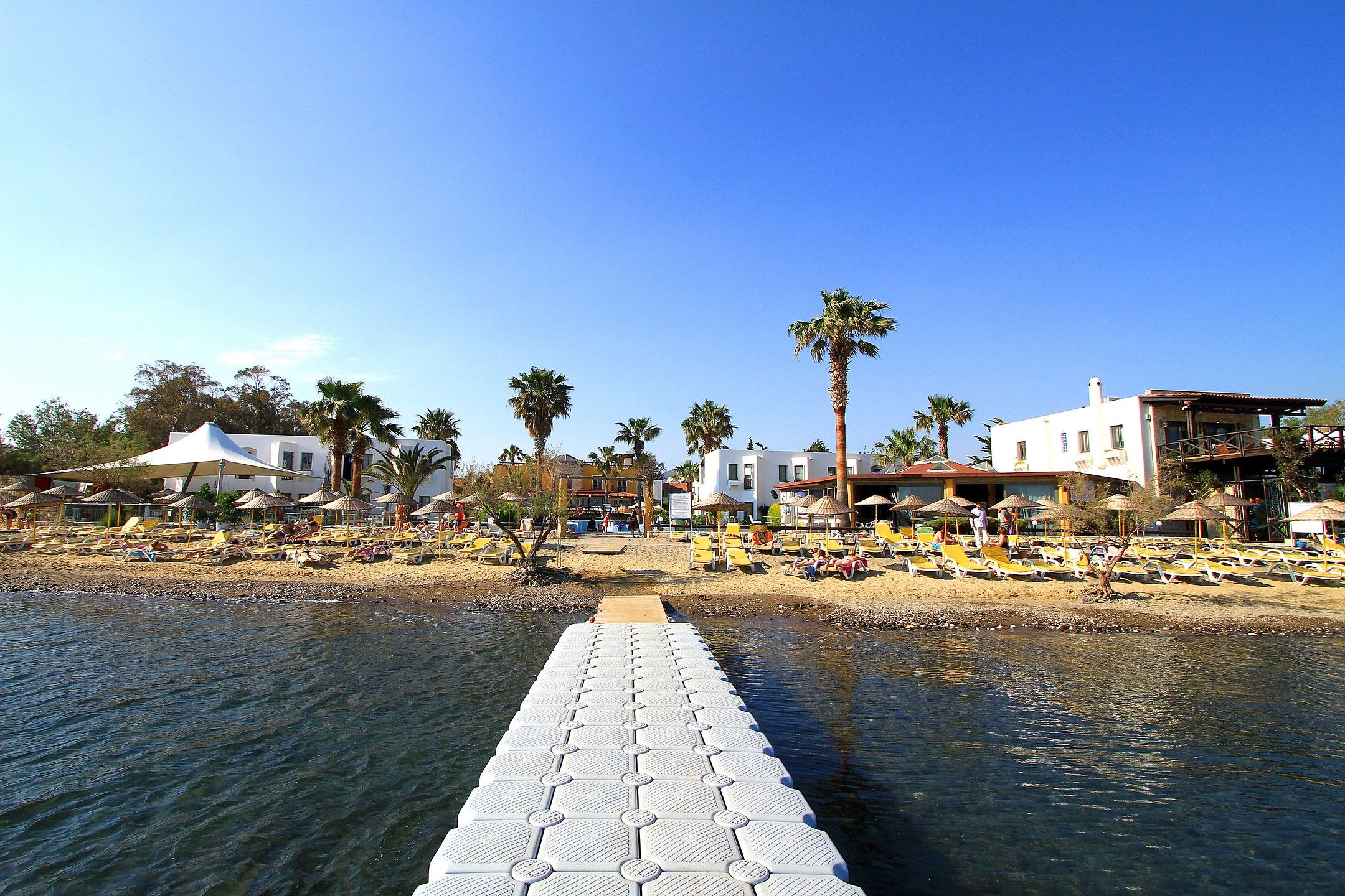 Beach