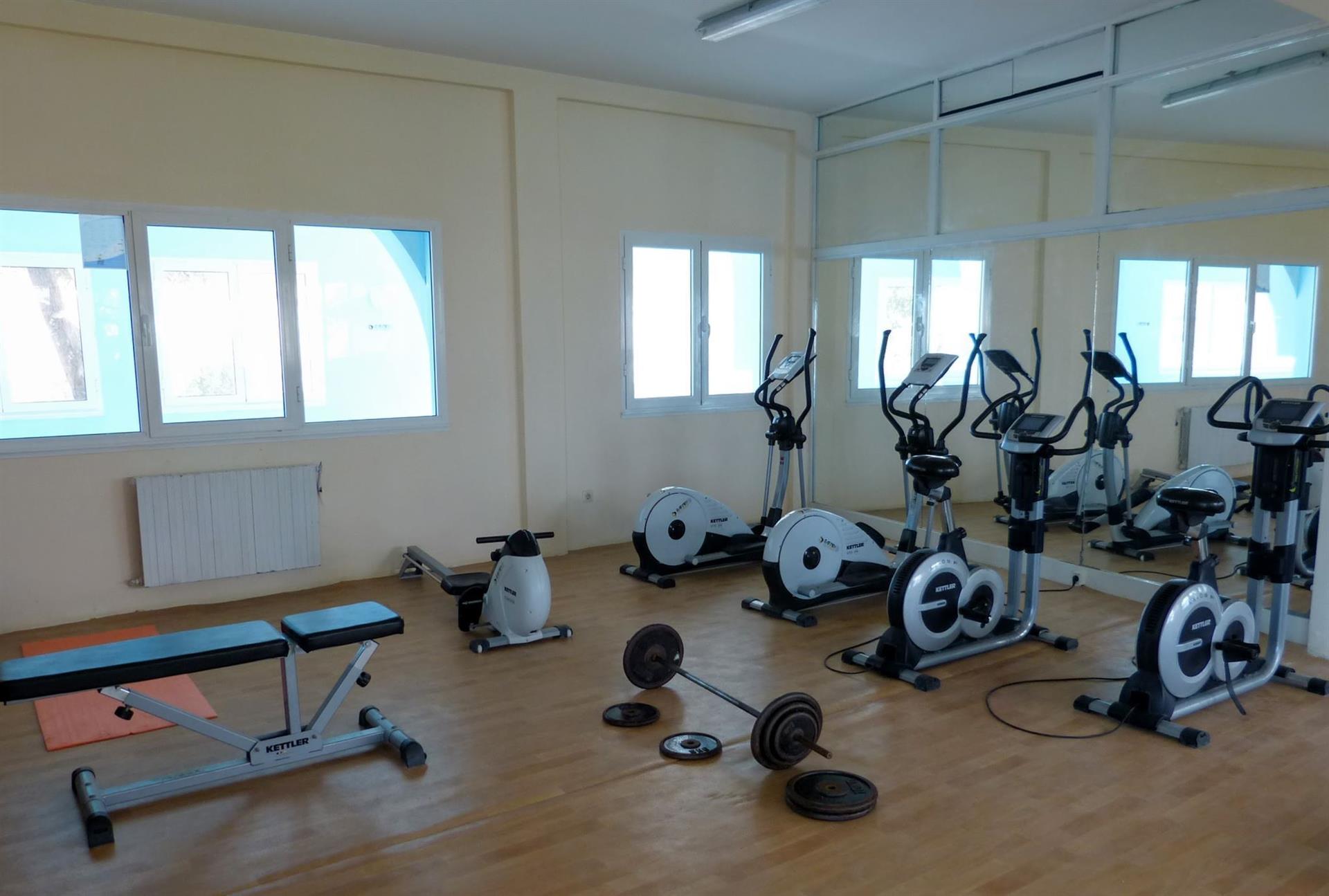 Sport