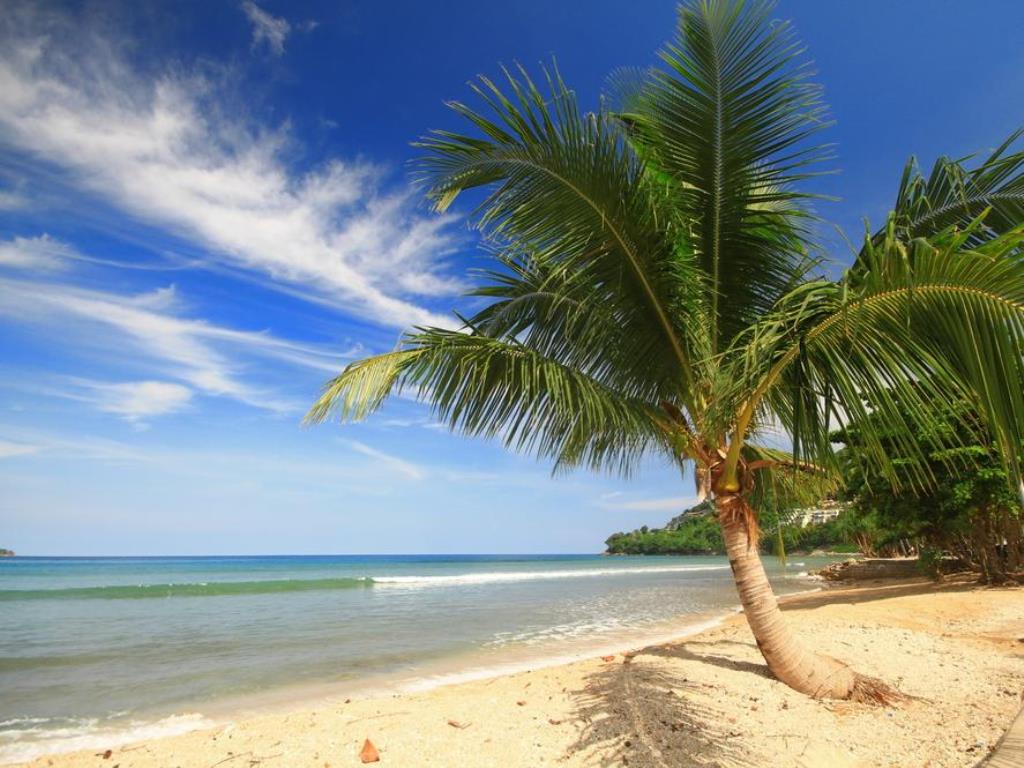 Plajă 