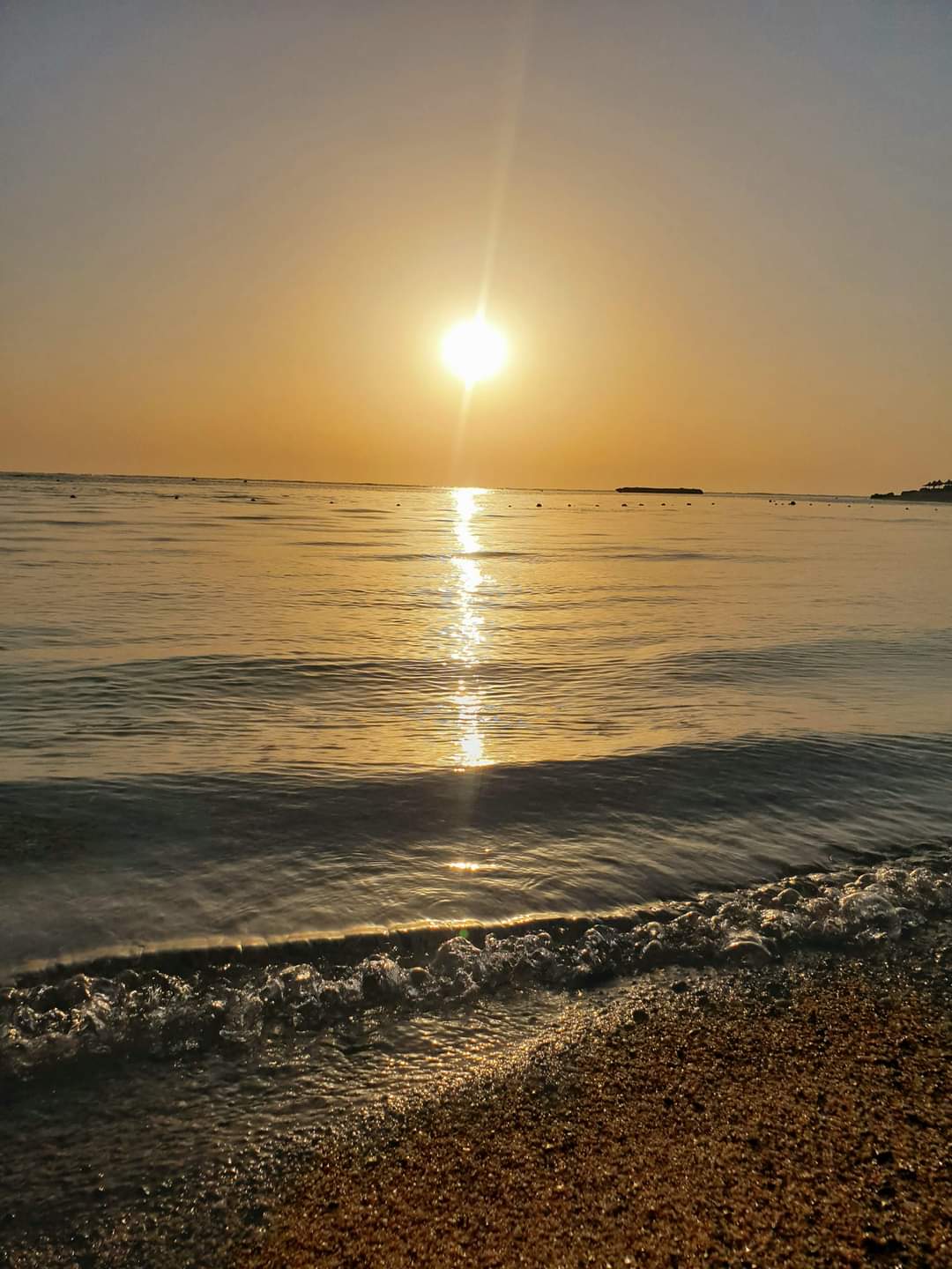 Plajă 