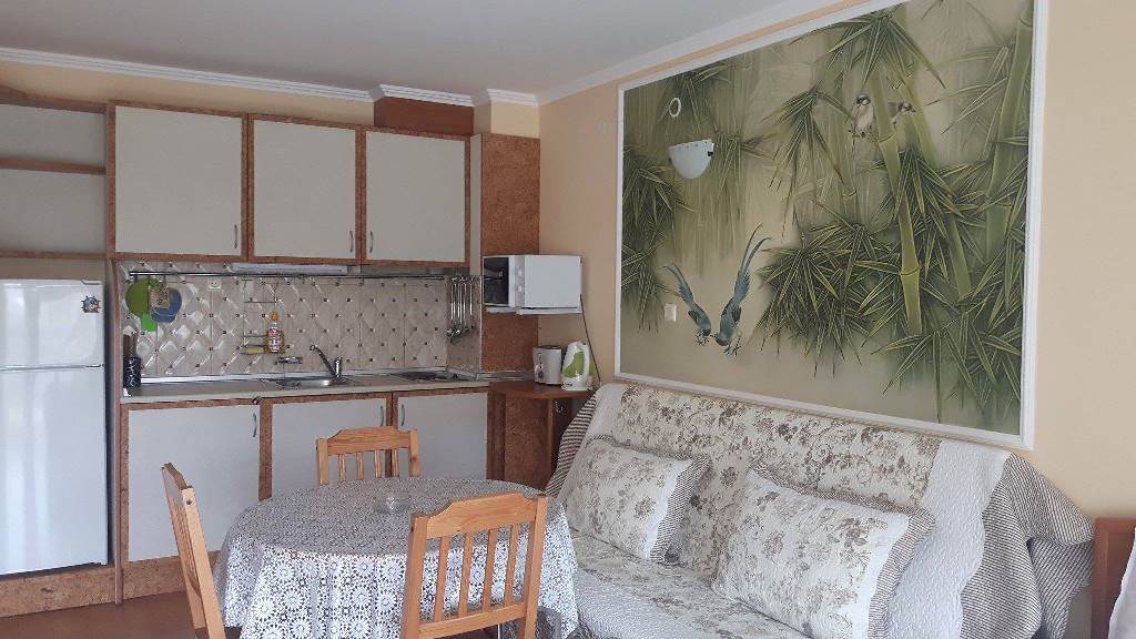 Standard Studio (Balcony or Terrace)