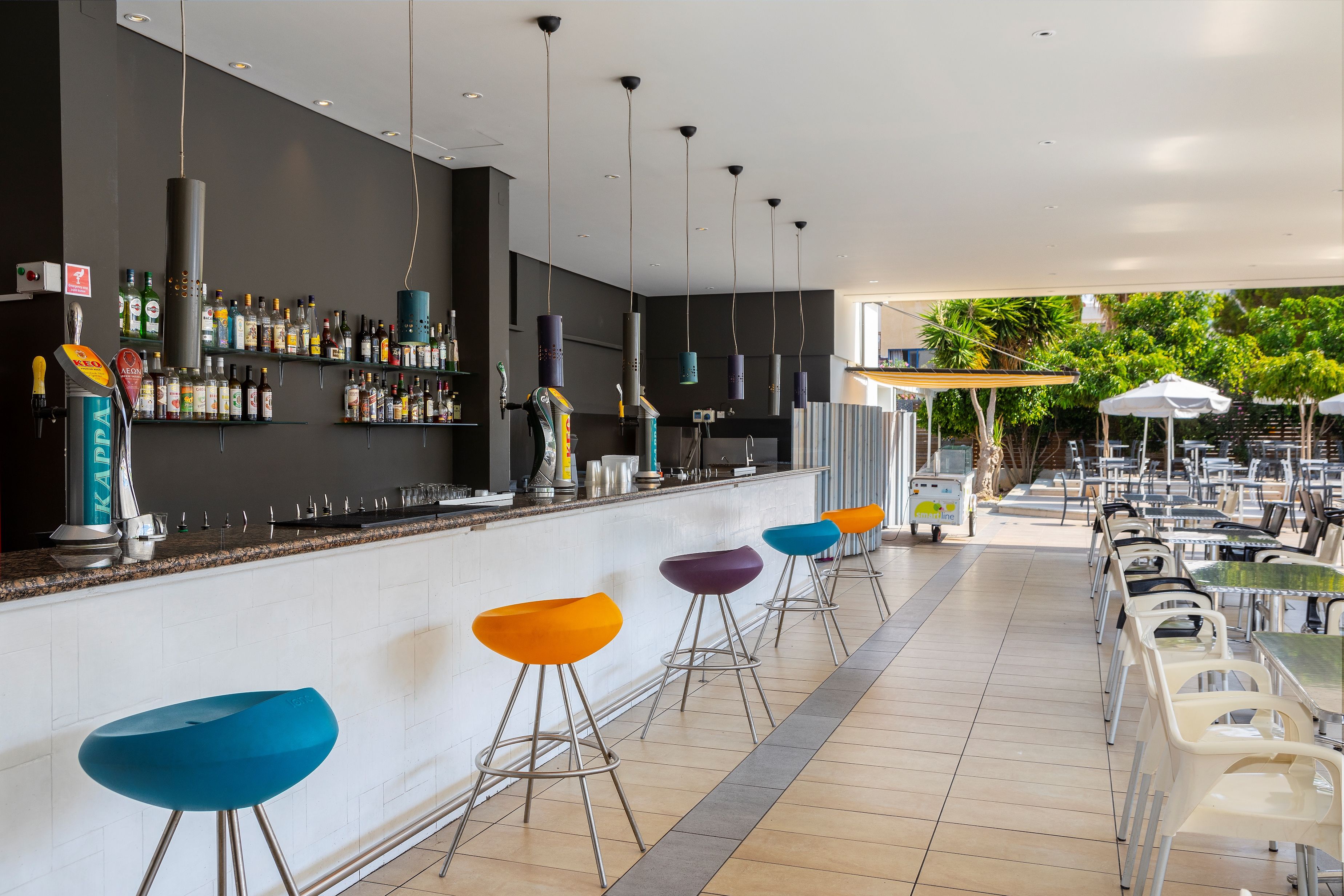 Dolphins Bar