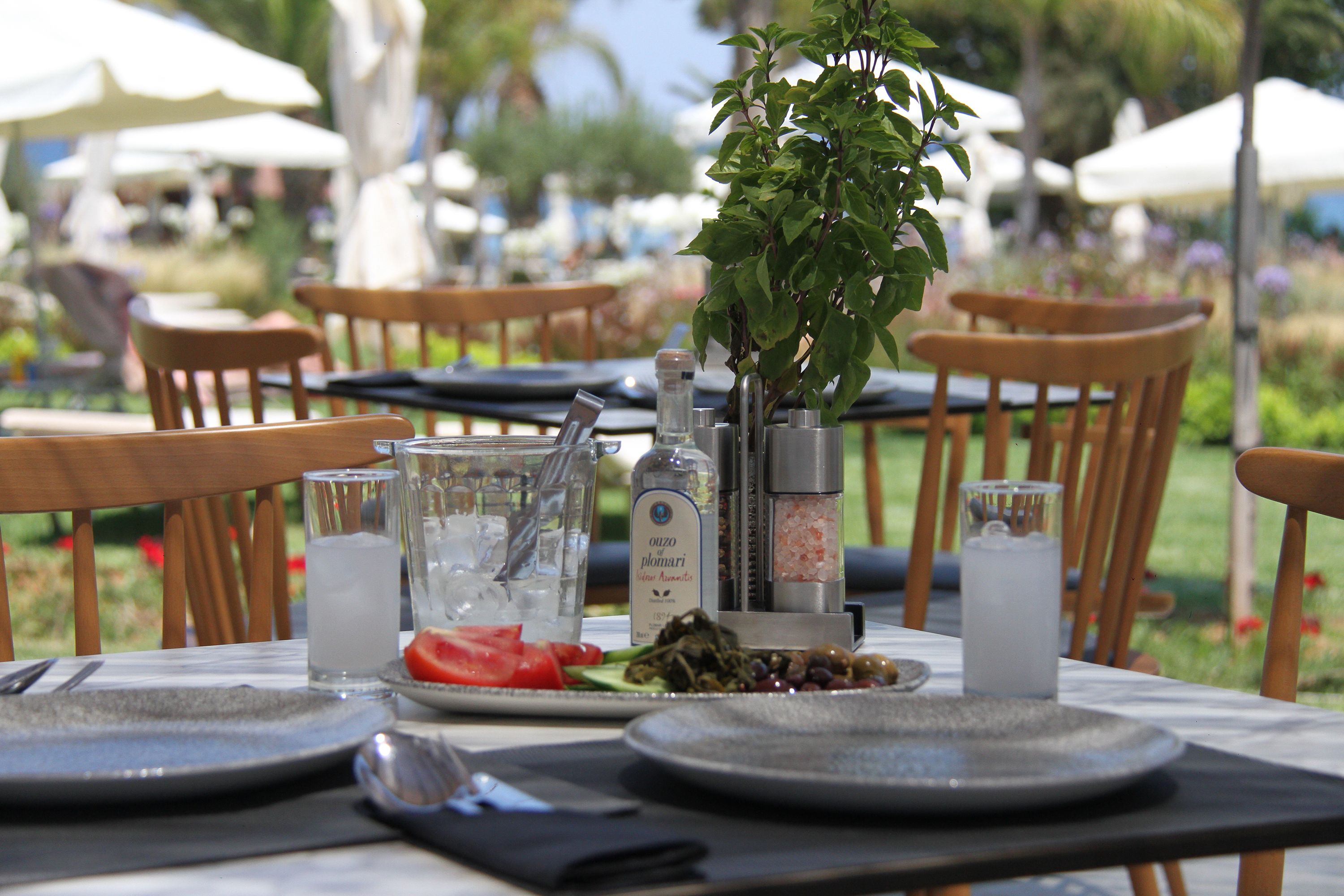 Restaurante