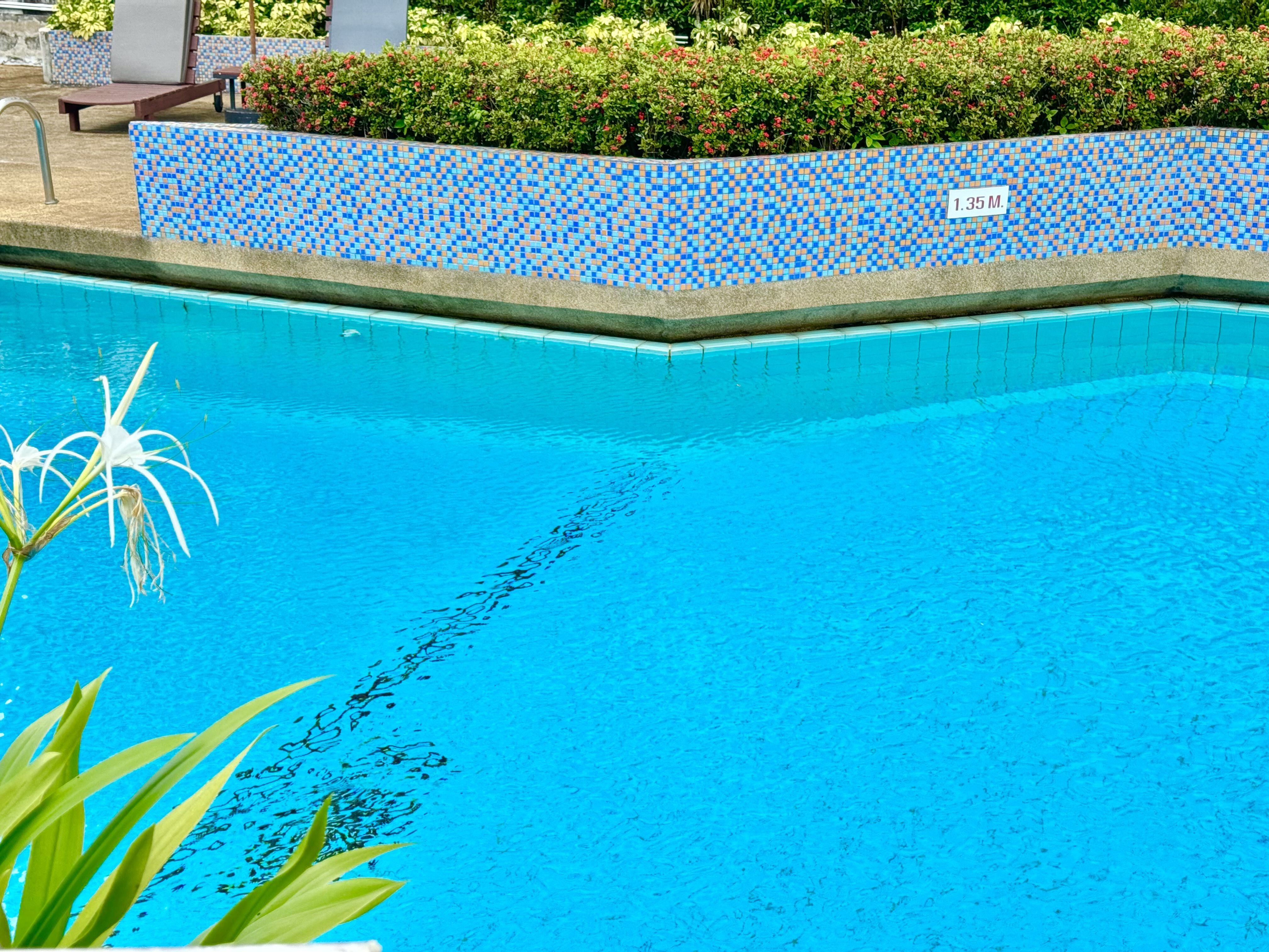 Piscina deschisă