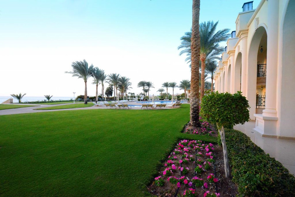 Sharm el Sheikh, Hotel Stella di Mare Beach, gradina.jpg