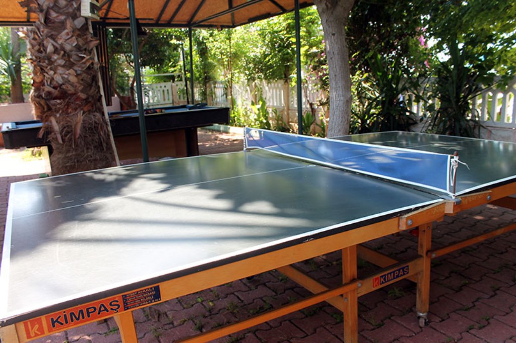 Sport
