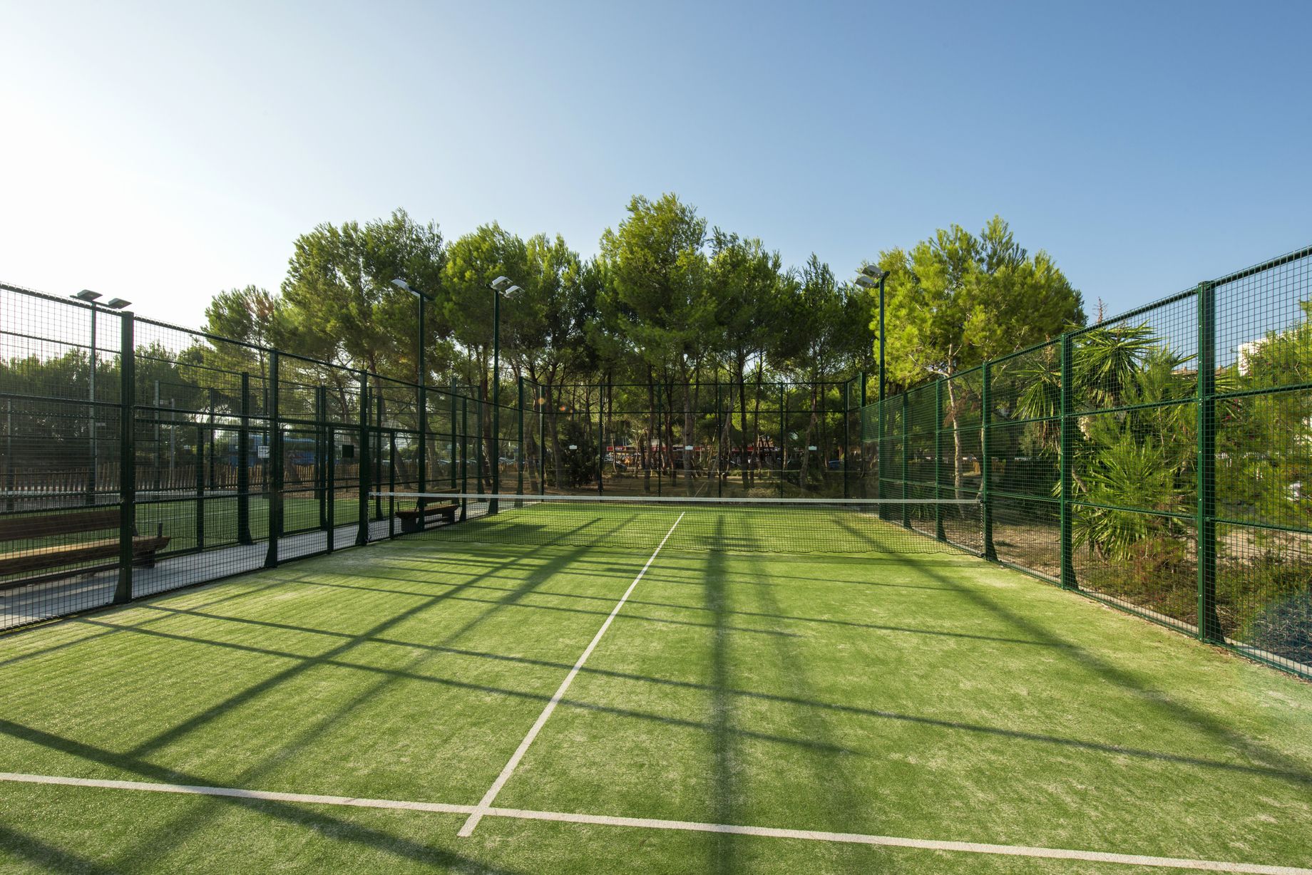 Sport