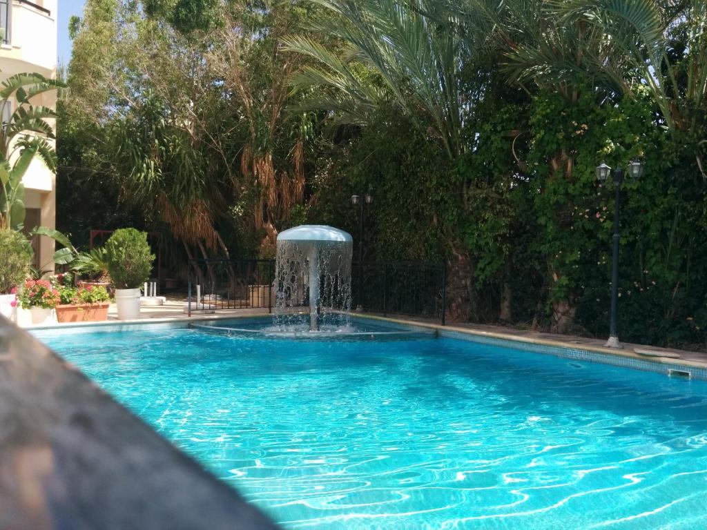 Piscina deschisă