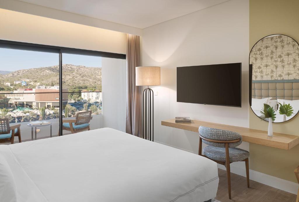 deluxe room (single use)