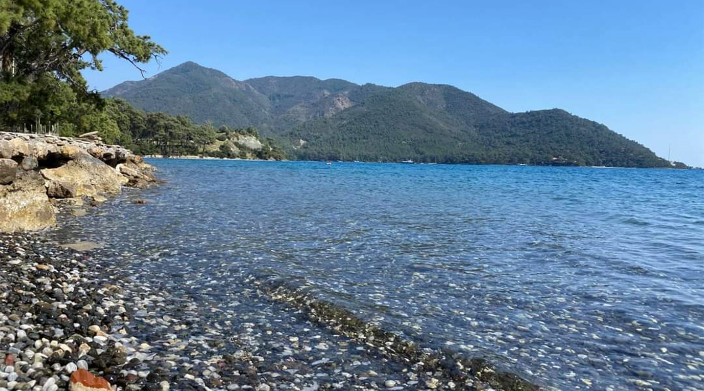 Plajă 