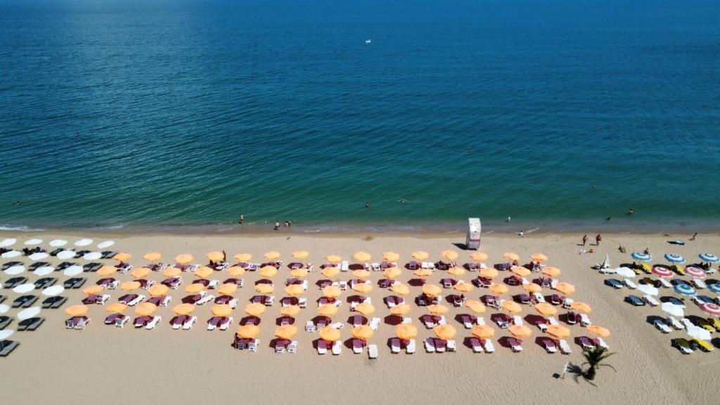 Plajă 