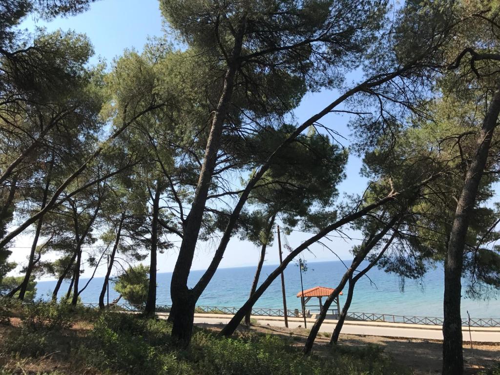 Plajă 