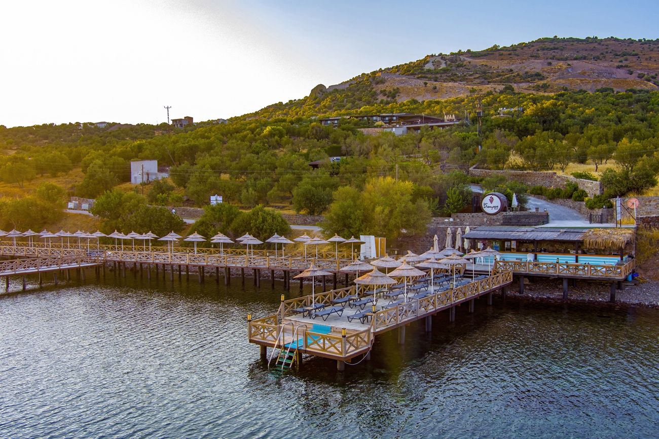 Plajă 