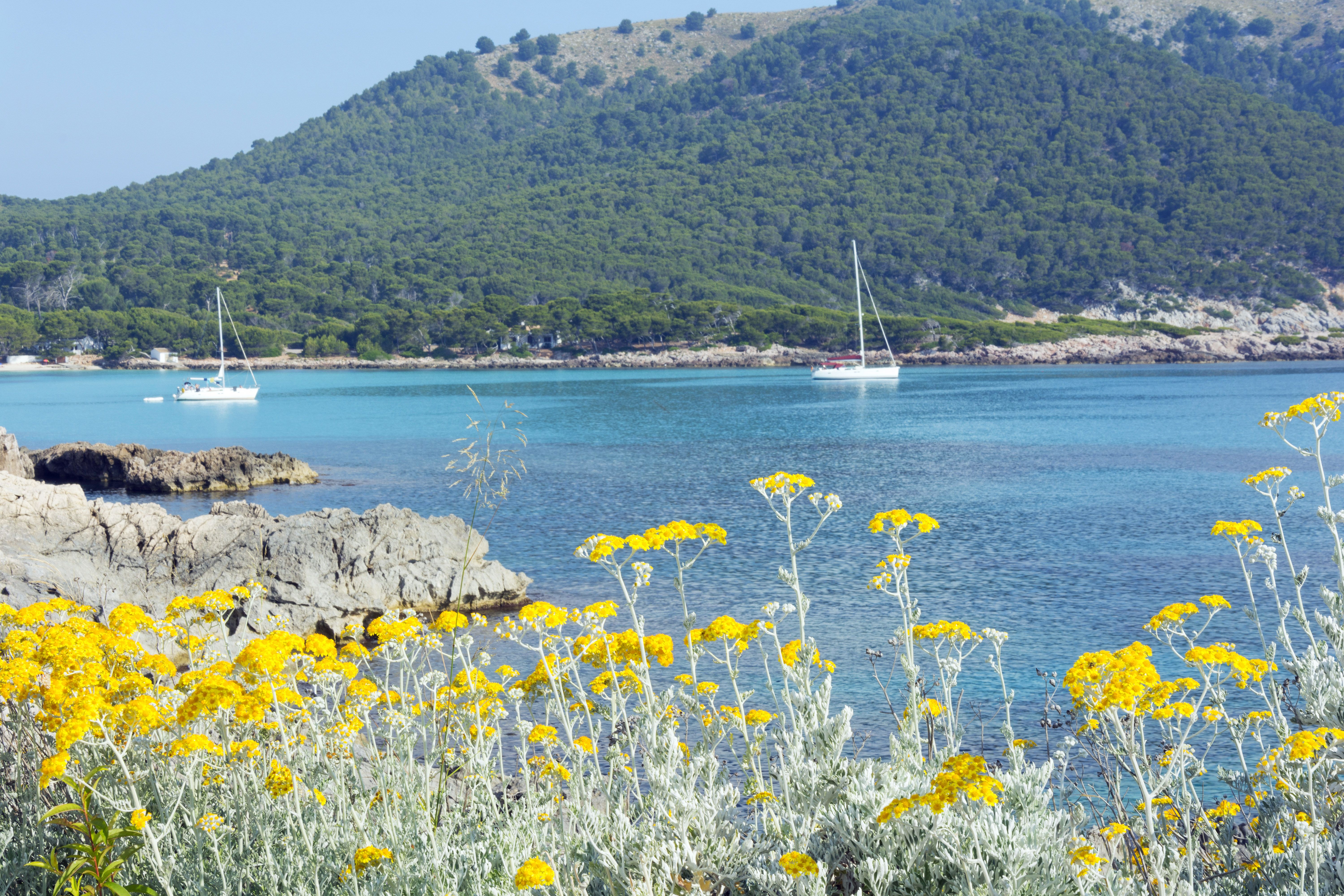 Plajă 
