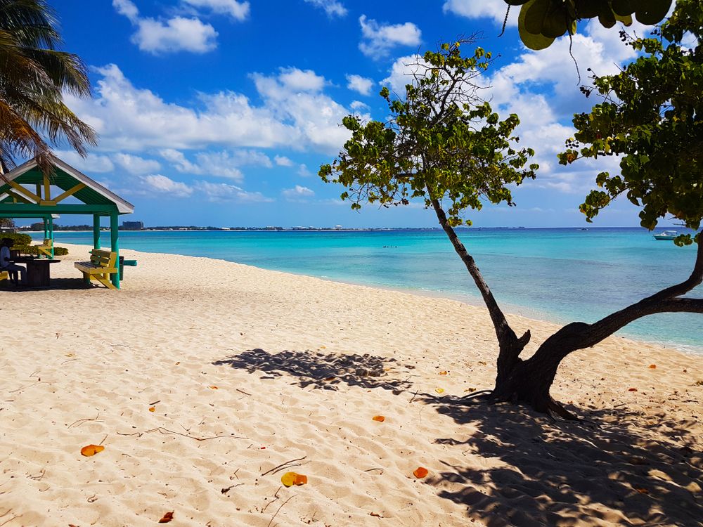Croaziera Caraibe Jamaica, Mexic, Curacao si Aruba - MSC Divina
