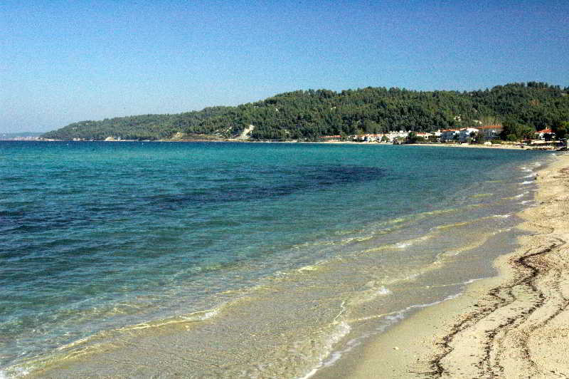 Plajă 