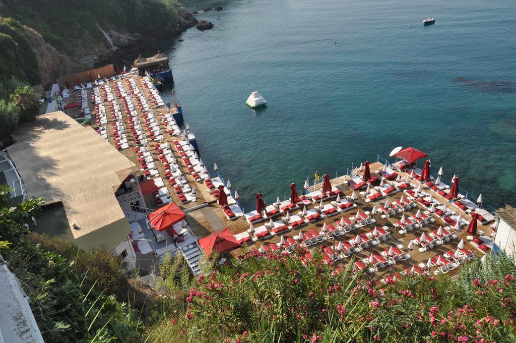Plajă 