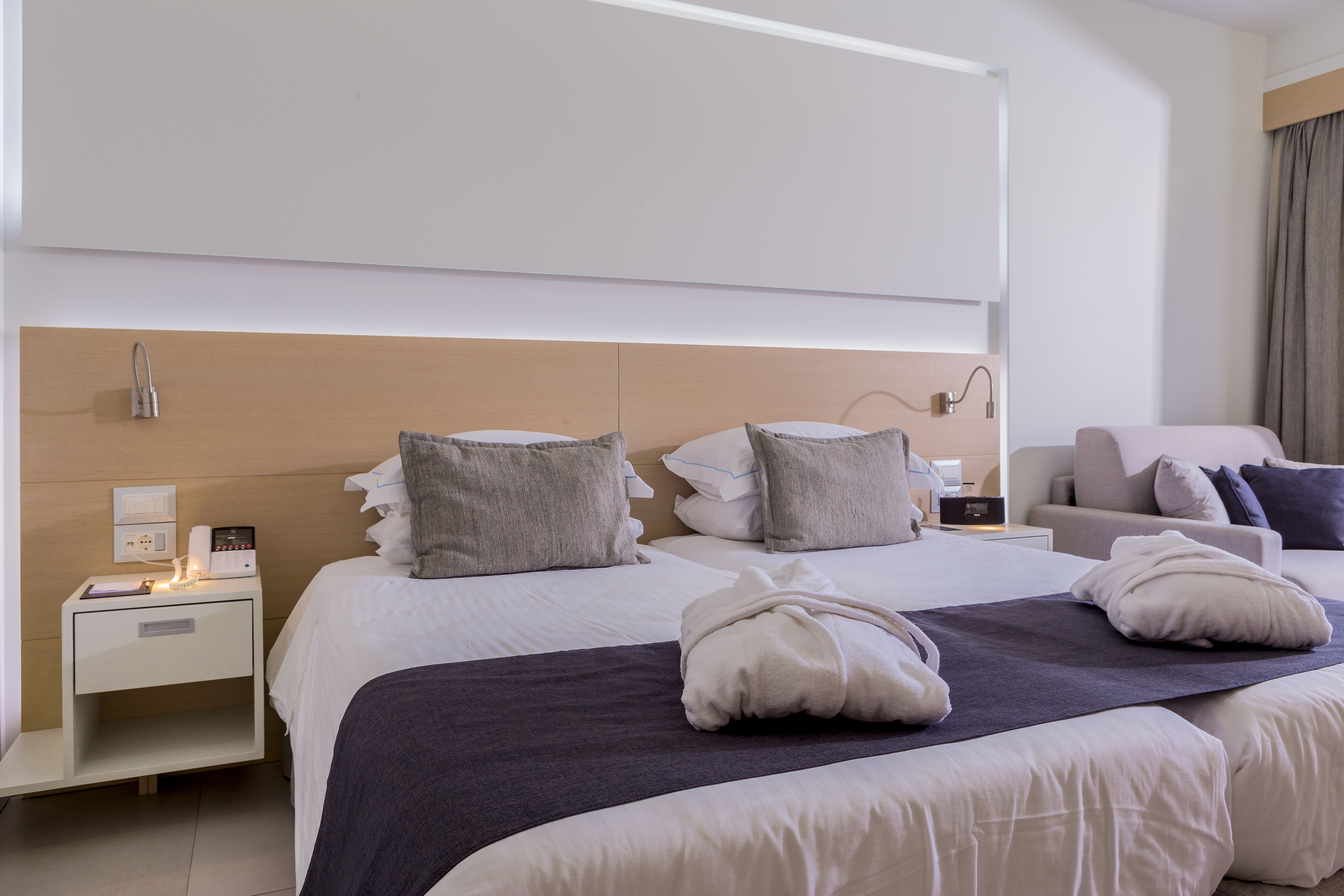 Deluxe Twin Room With Balcony or Terrace