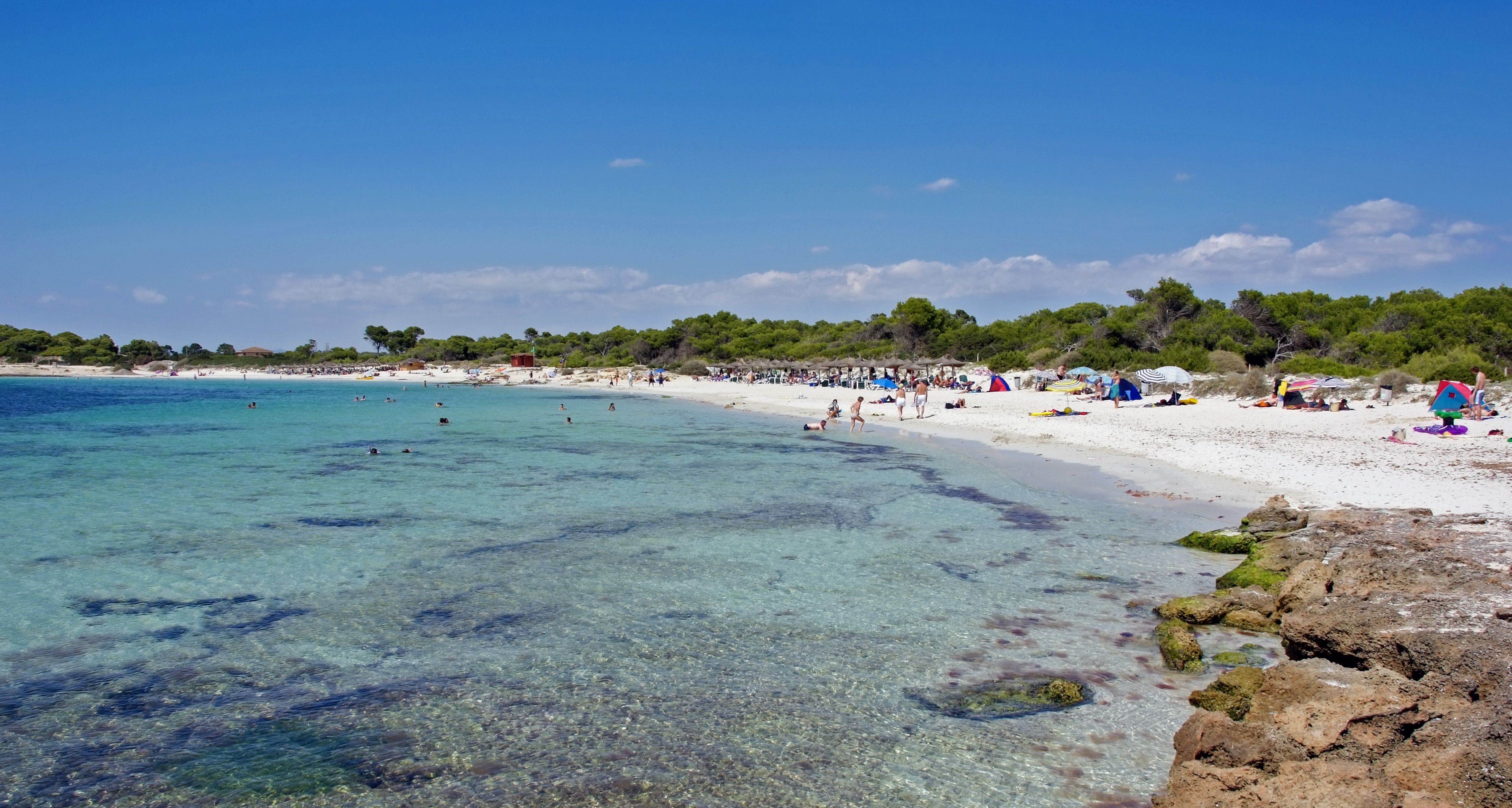 Plajă 