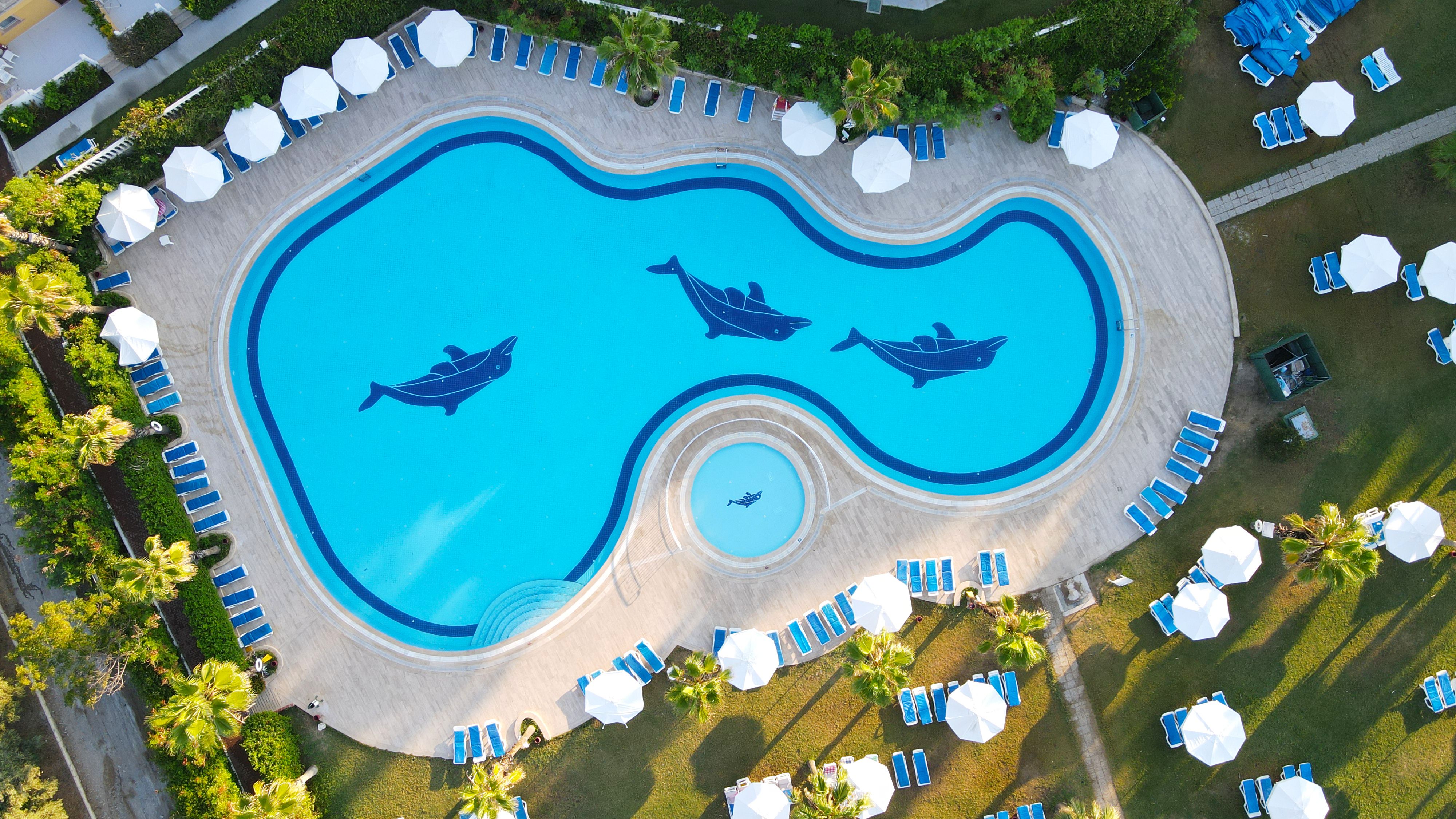 Piscina deschisă