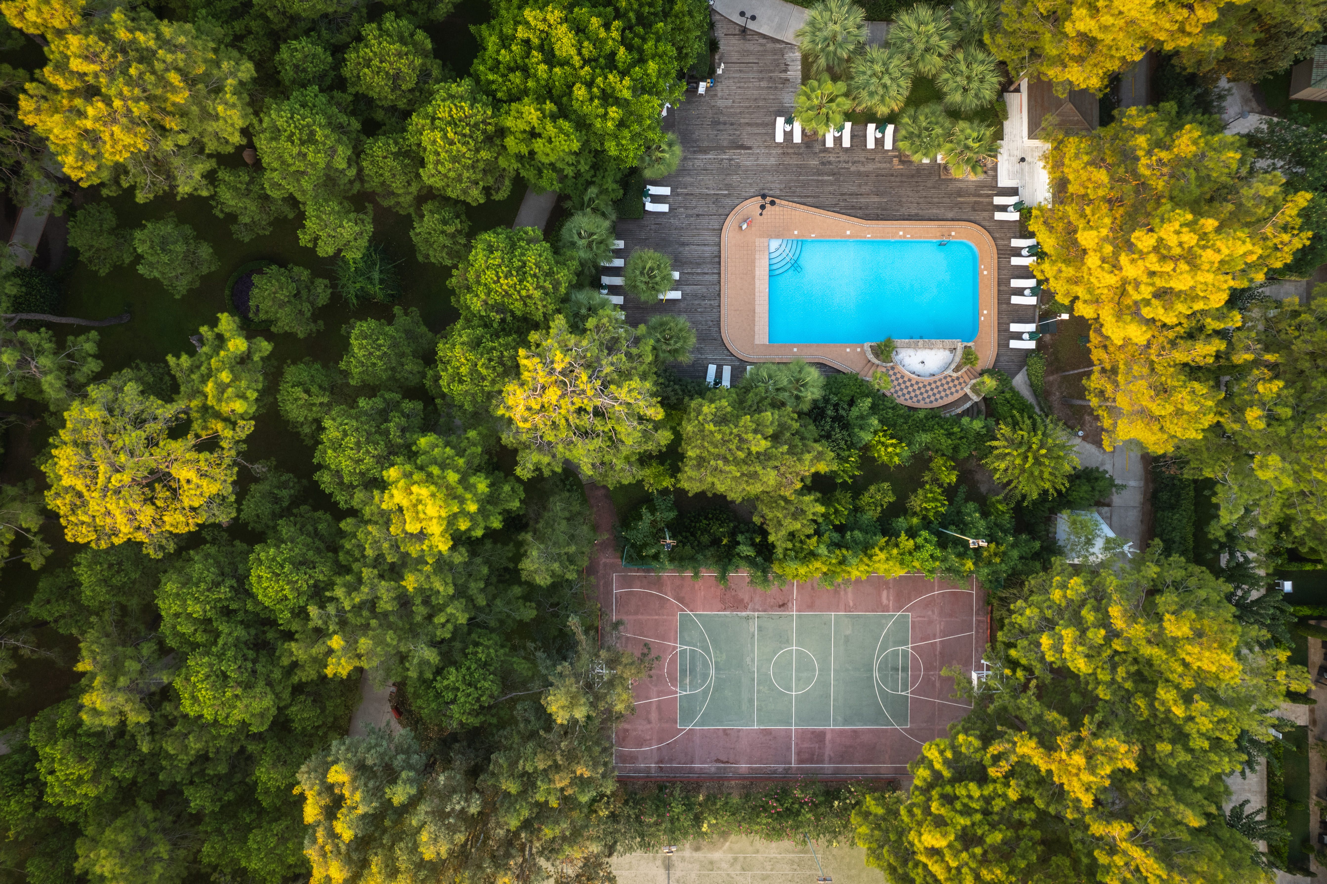 Piscina deschisă