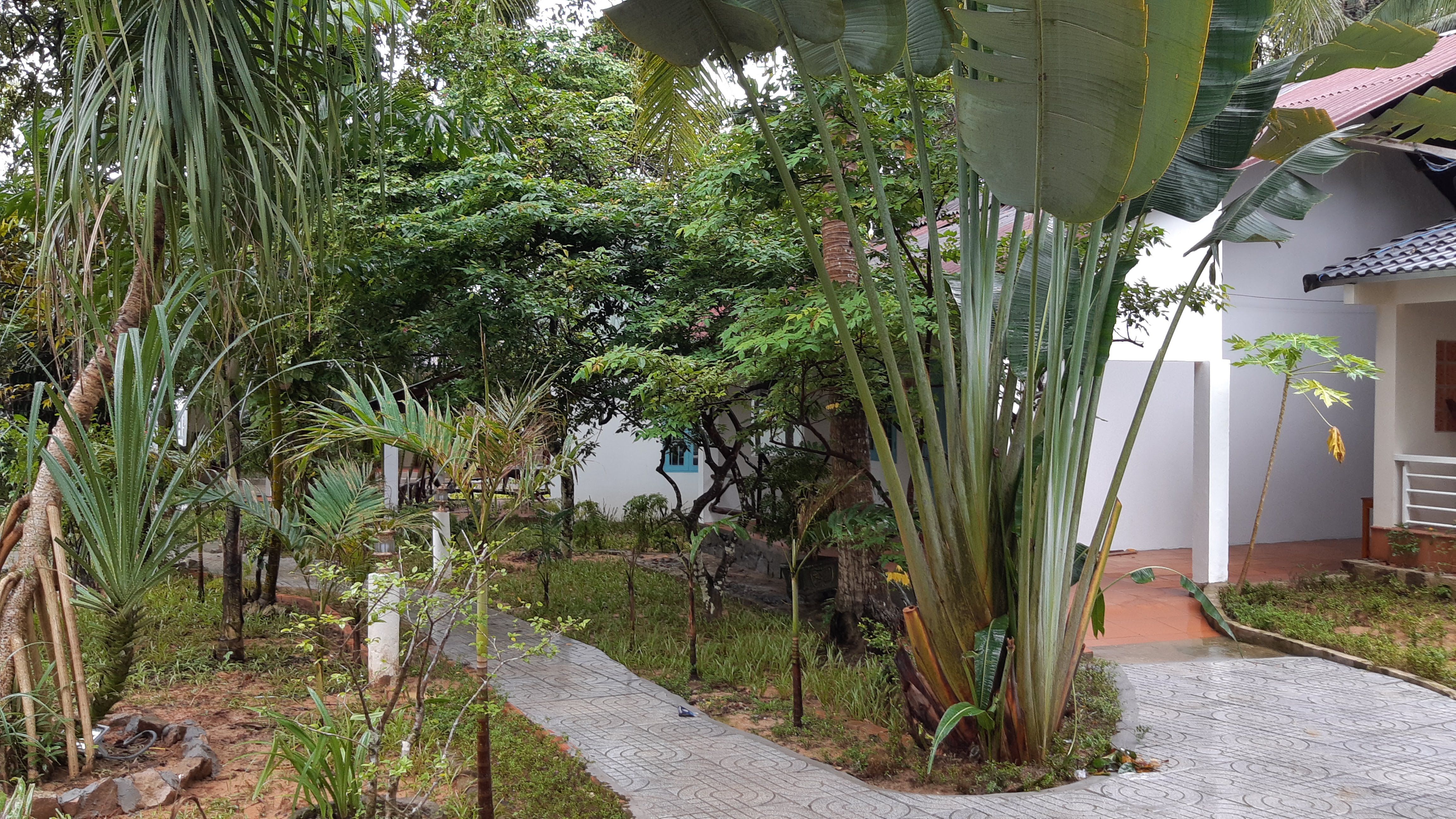 Bungalou