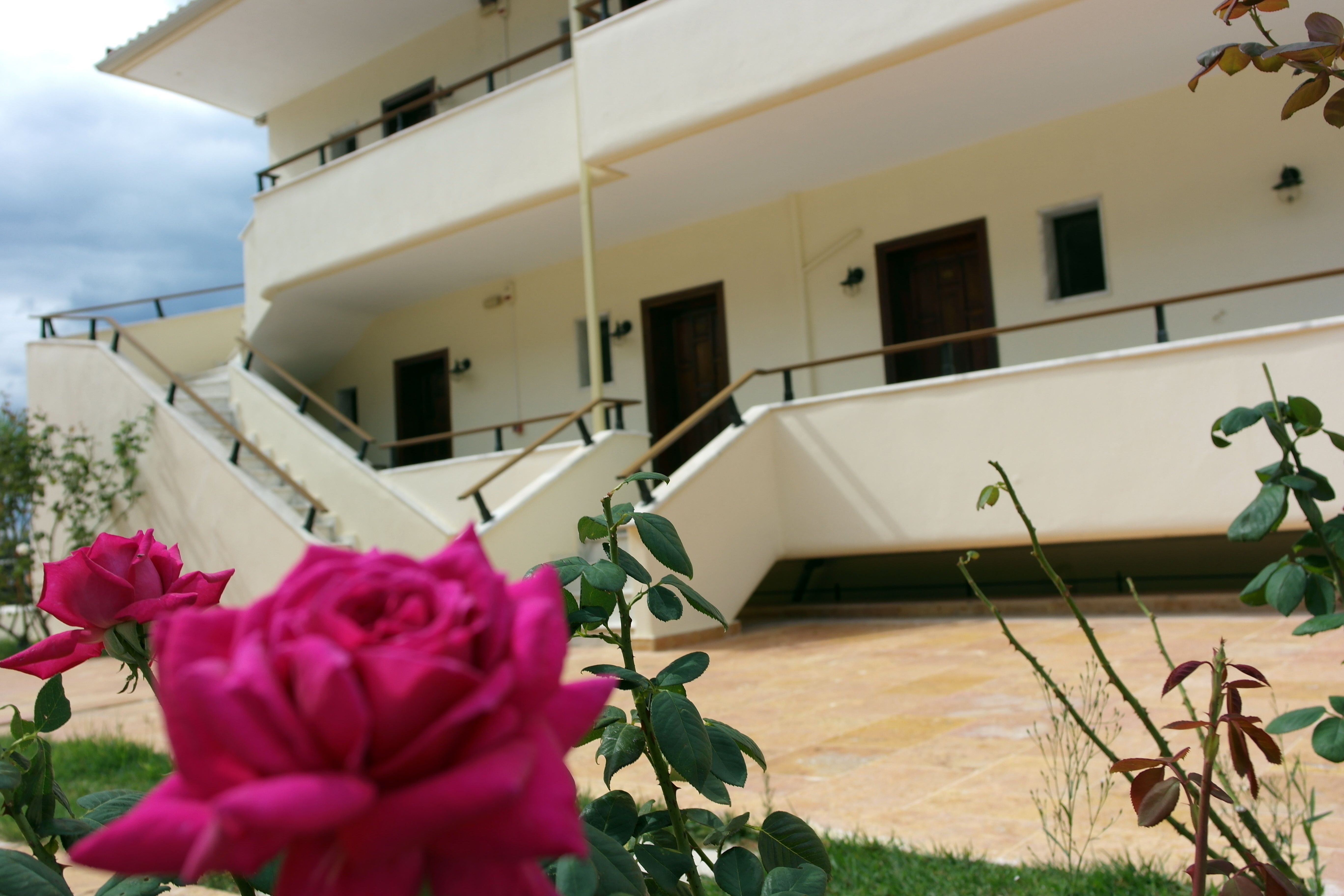 Main Building