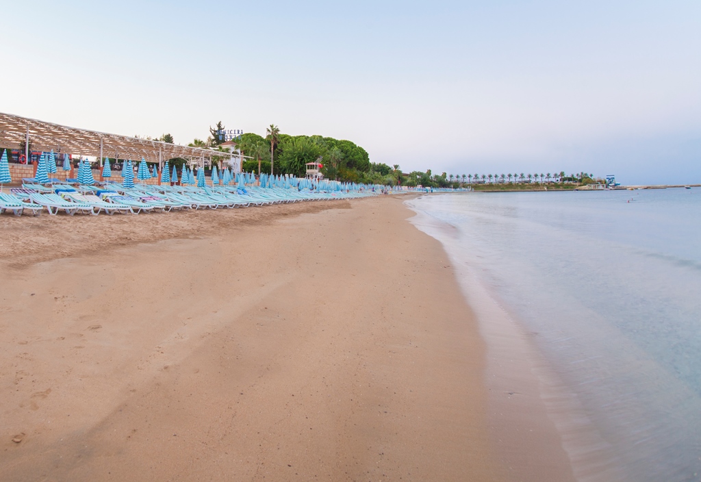Plajă 