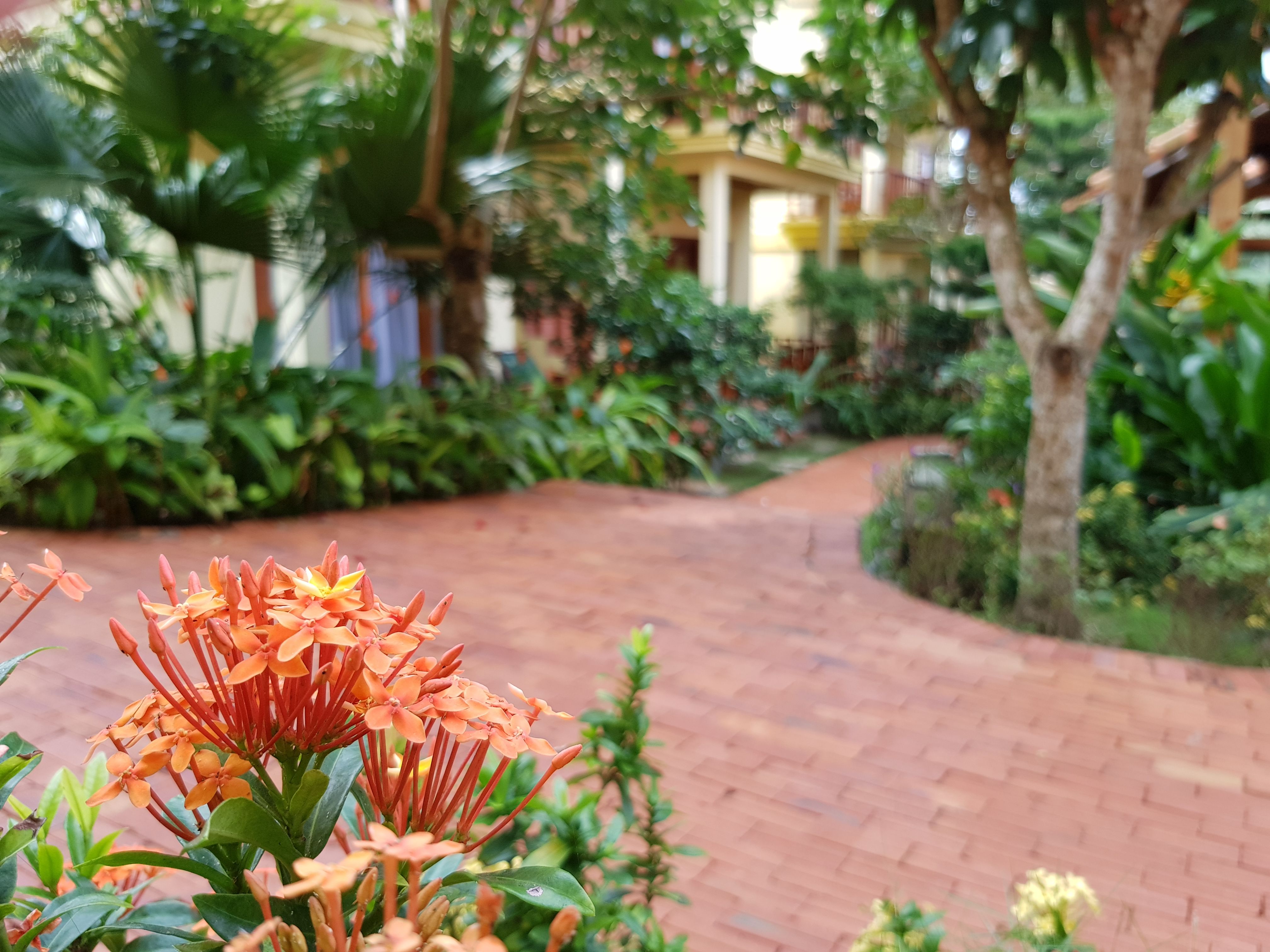 Bungalou