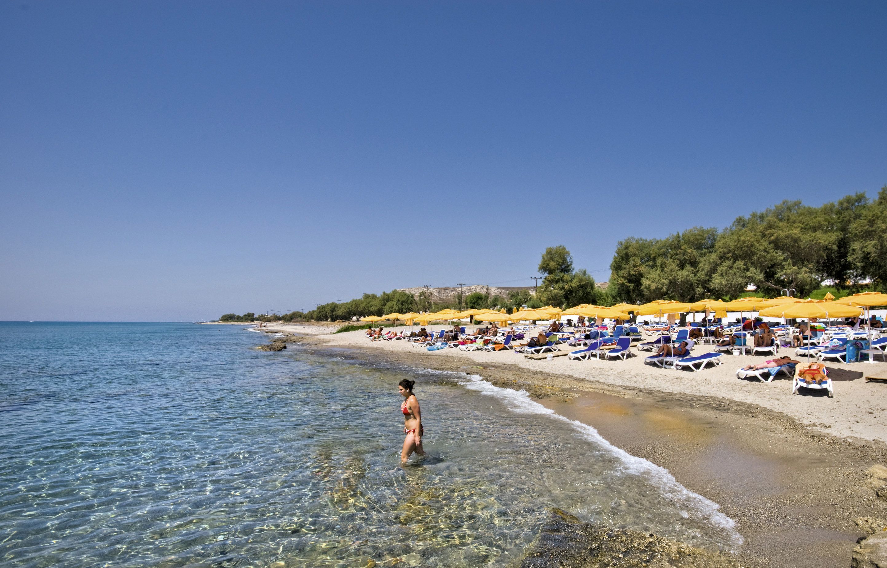 Plajă 