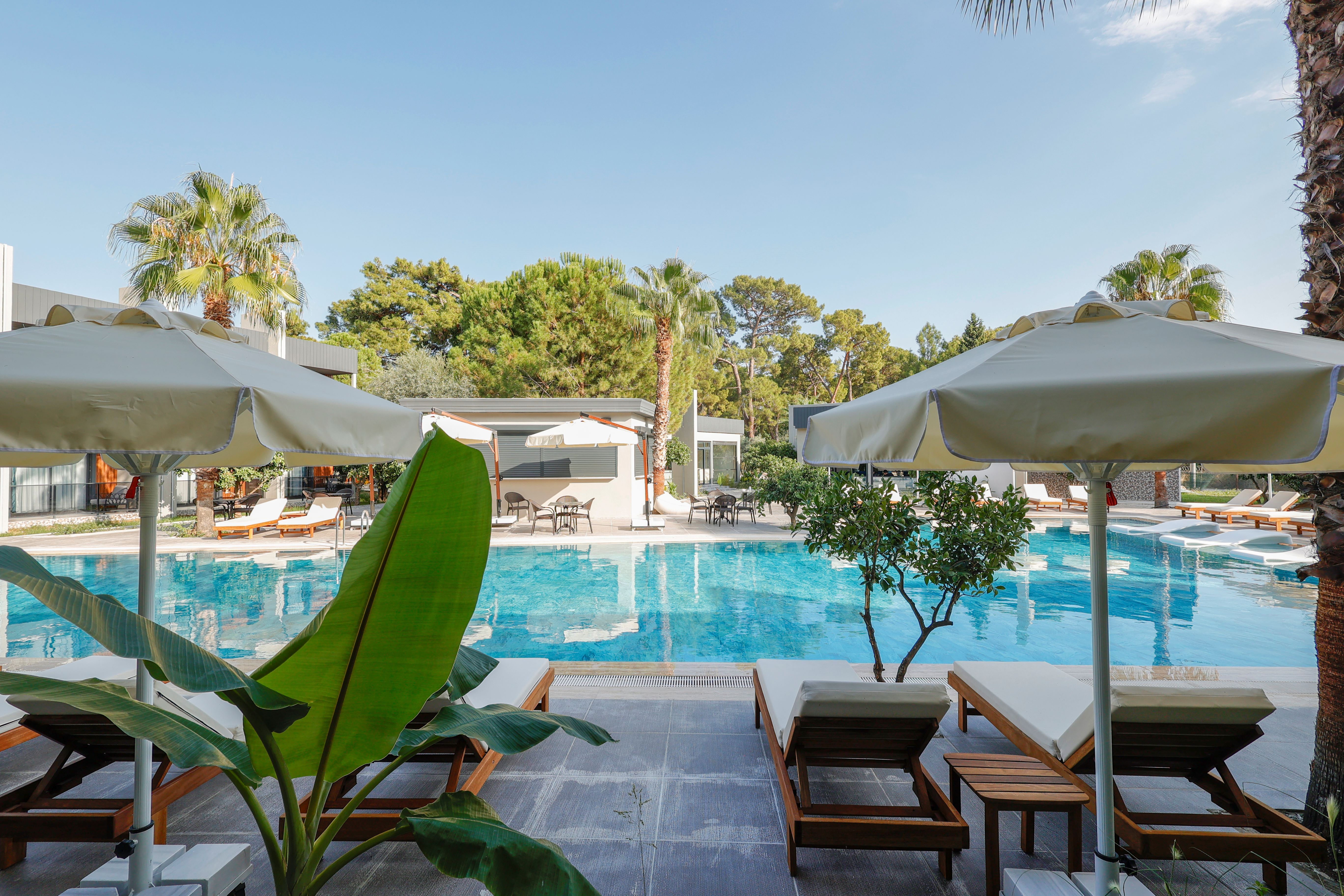 Piscina deschisă