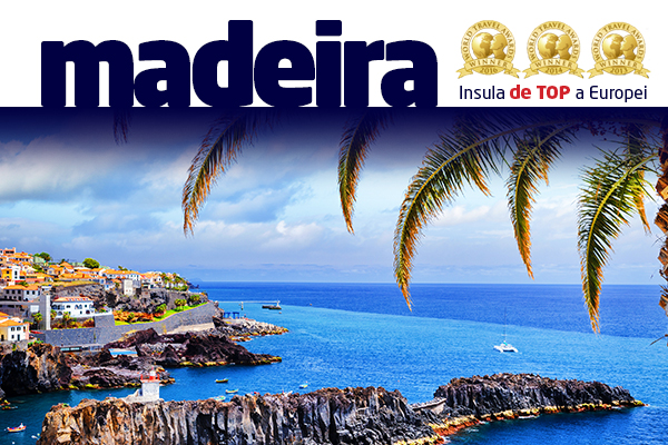 B2B-Madeira (2).jpg