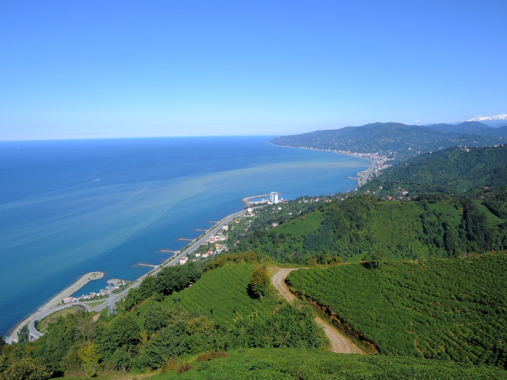 Clădirea principala