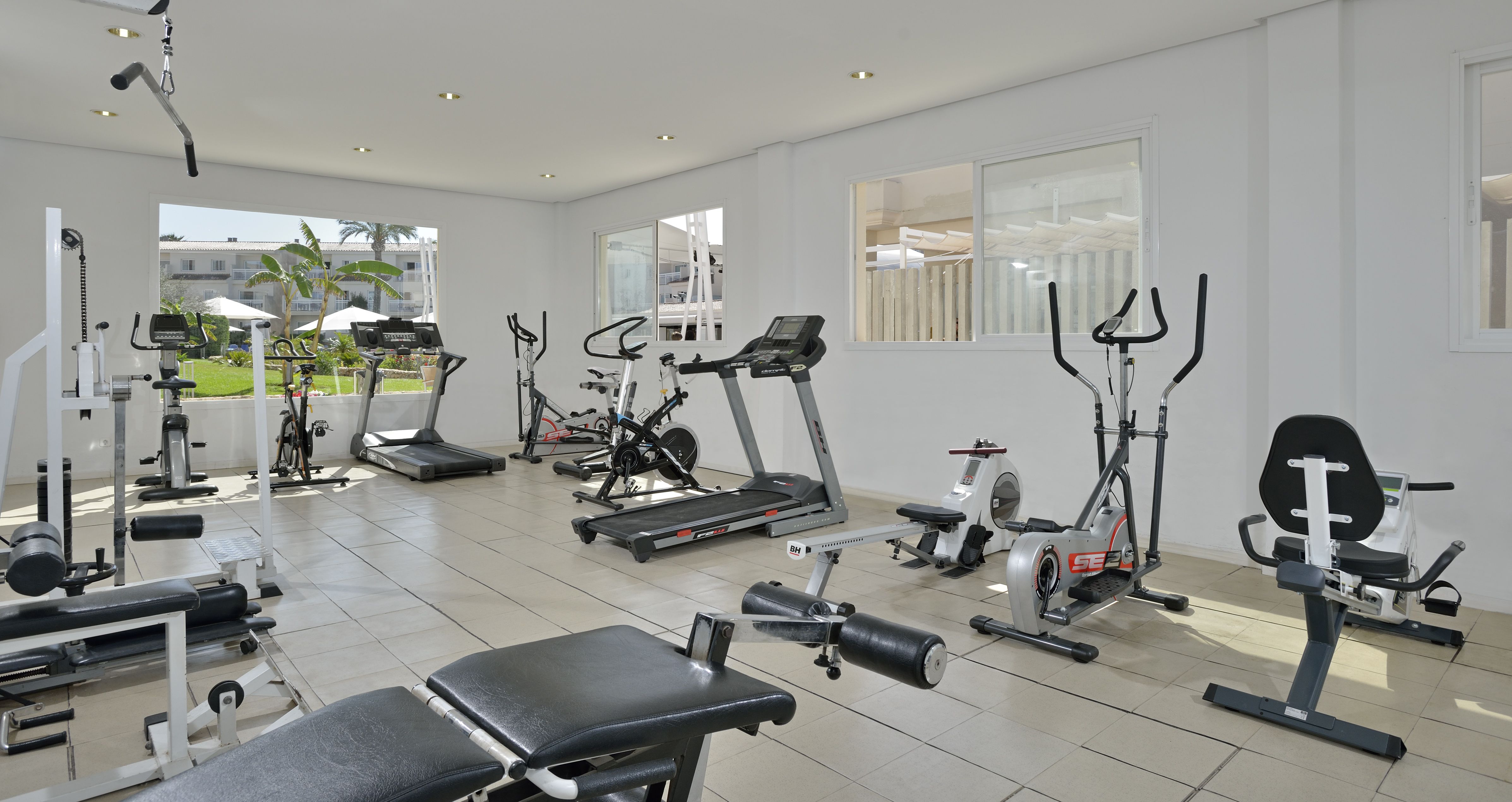 Sport