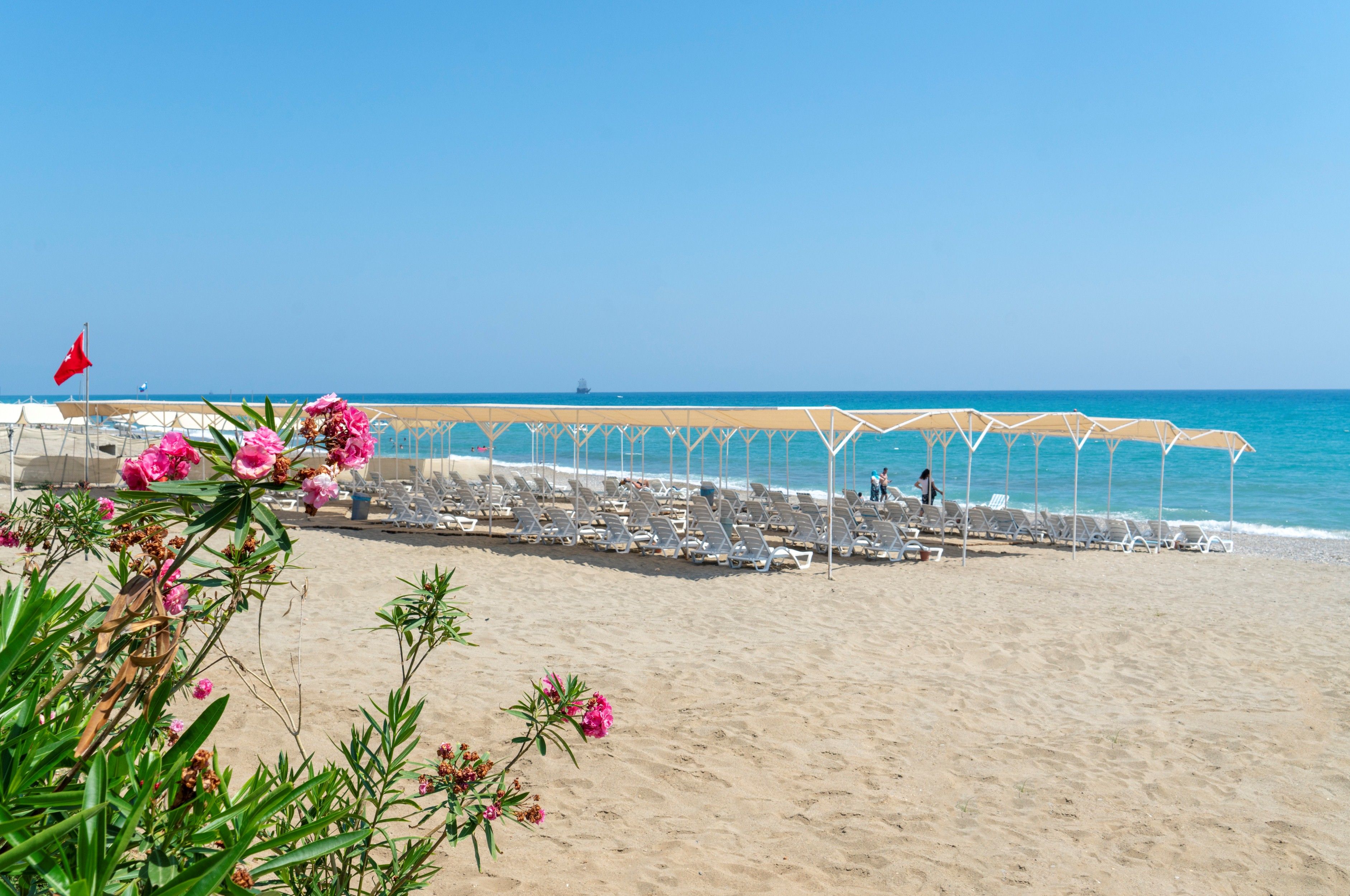 Plajă 