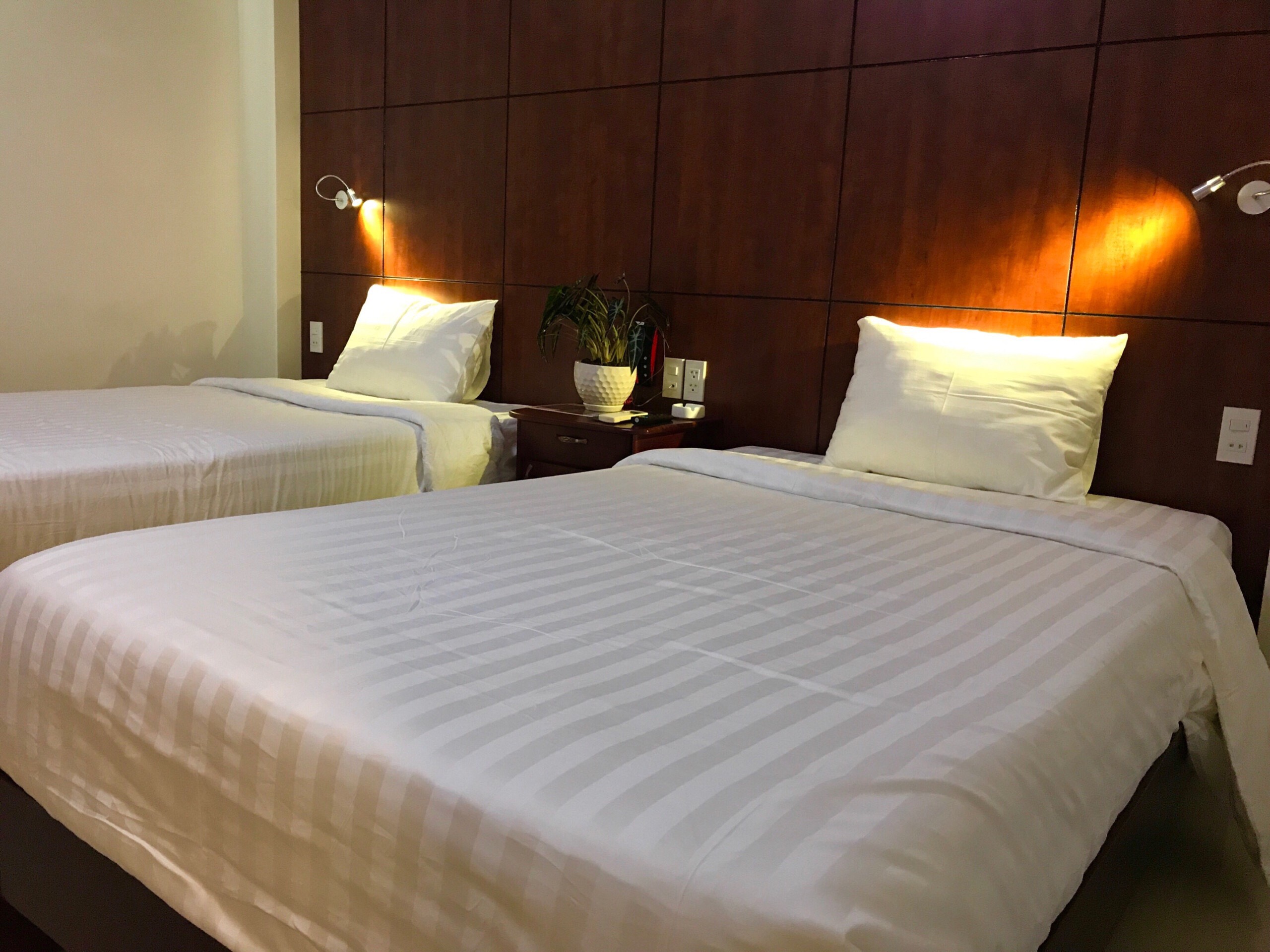 ROH ROOM 