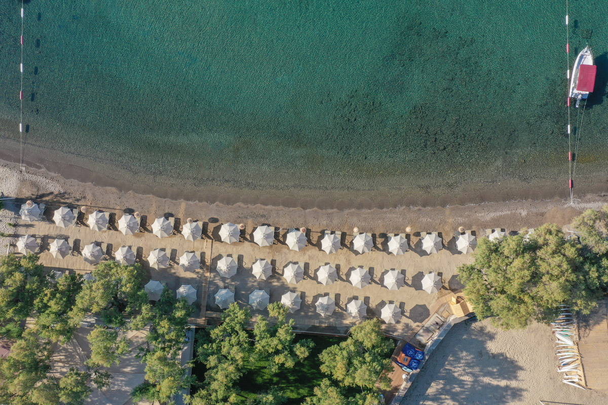 Plajă 
