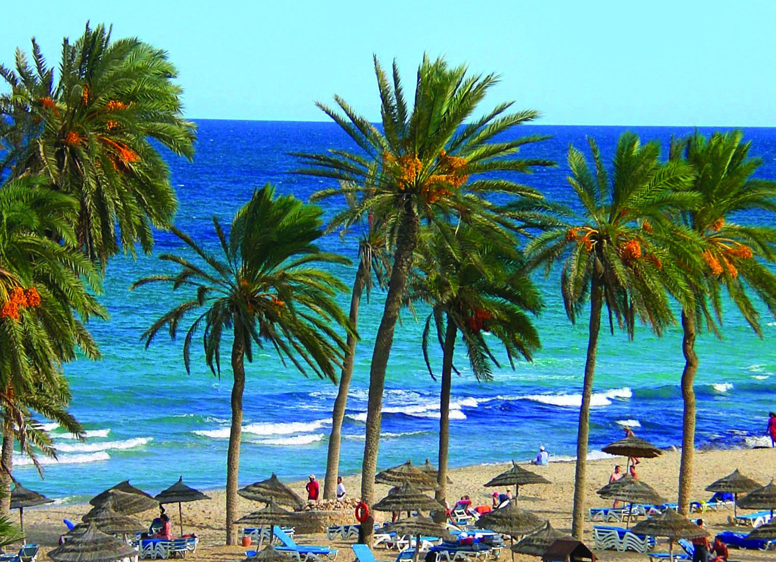 Plajă 