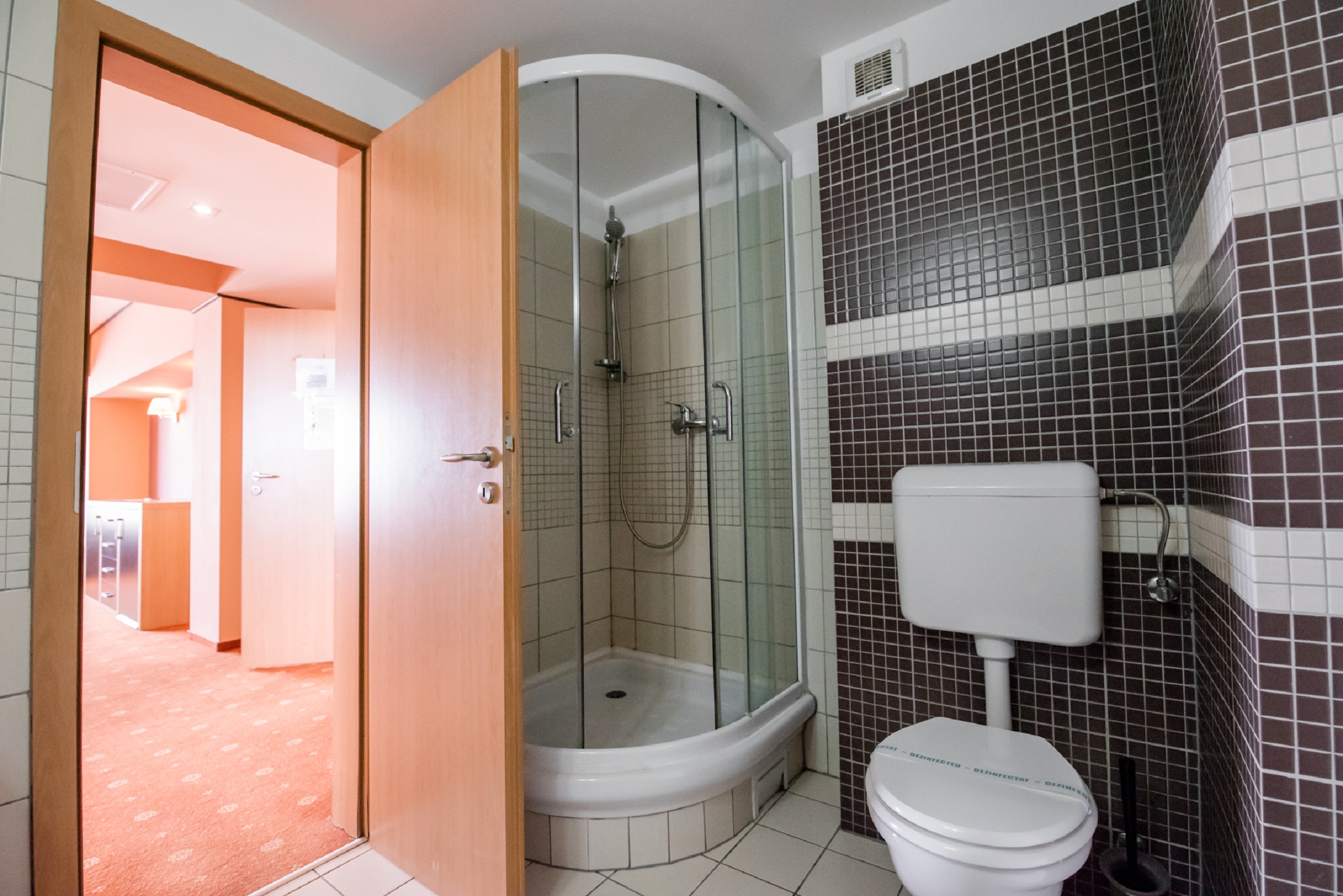 Executive Suite cu terasa