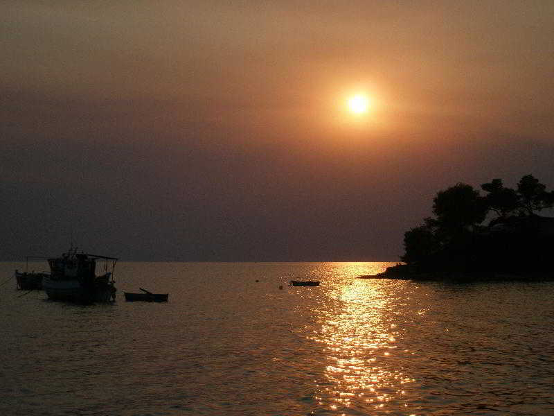 Plajă 