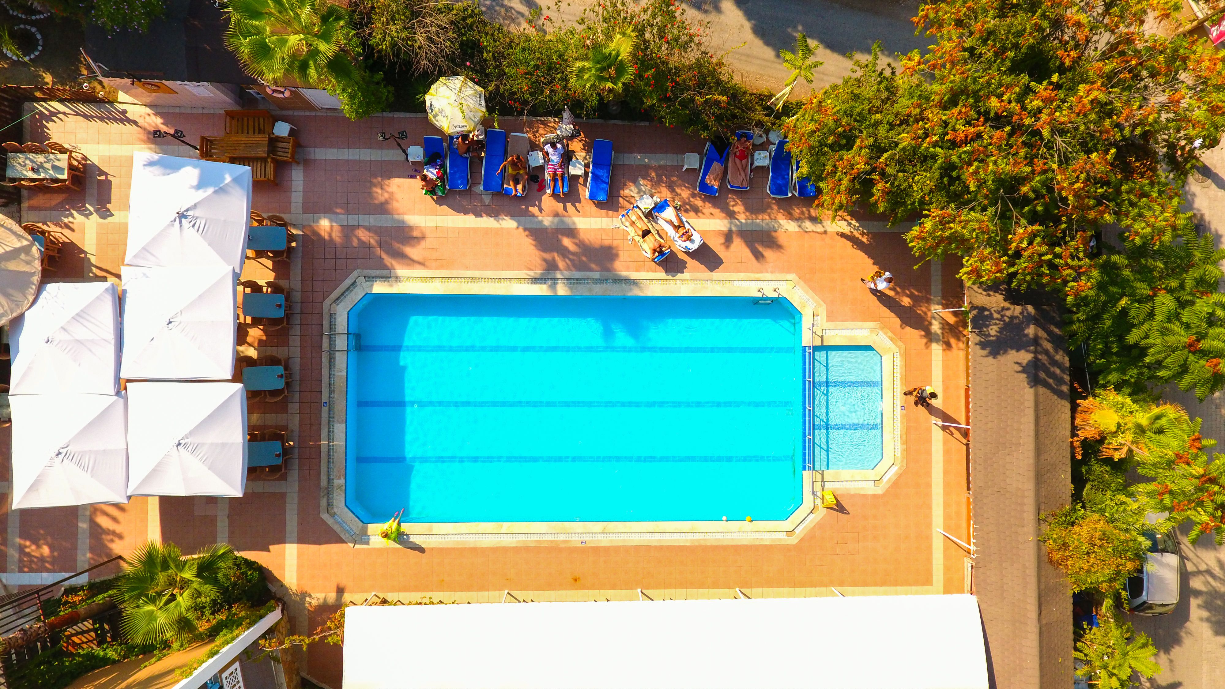 Piscina deschisă