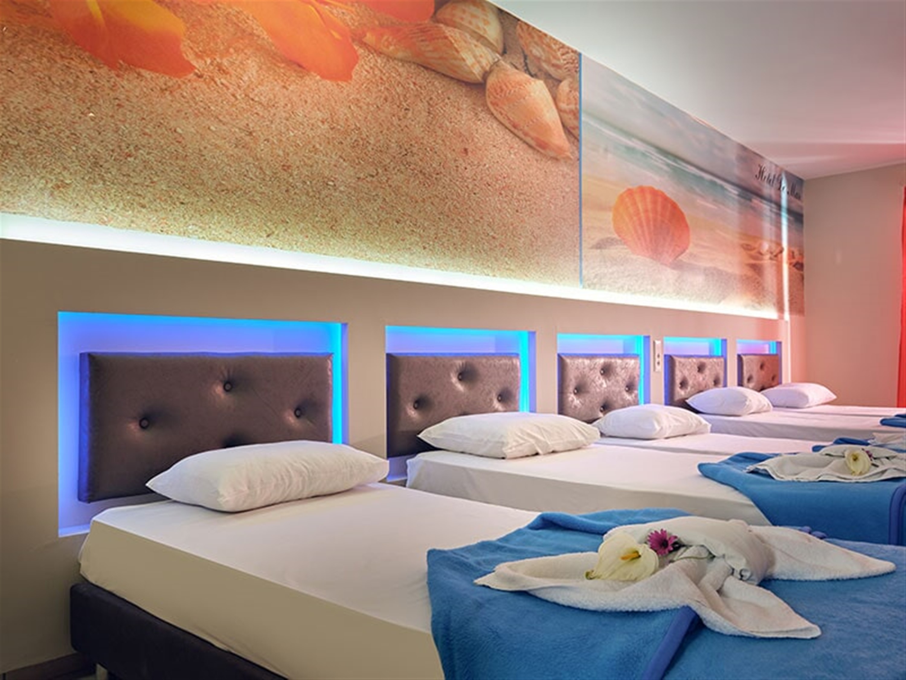 QUADRUPLE ROOM