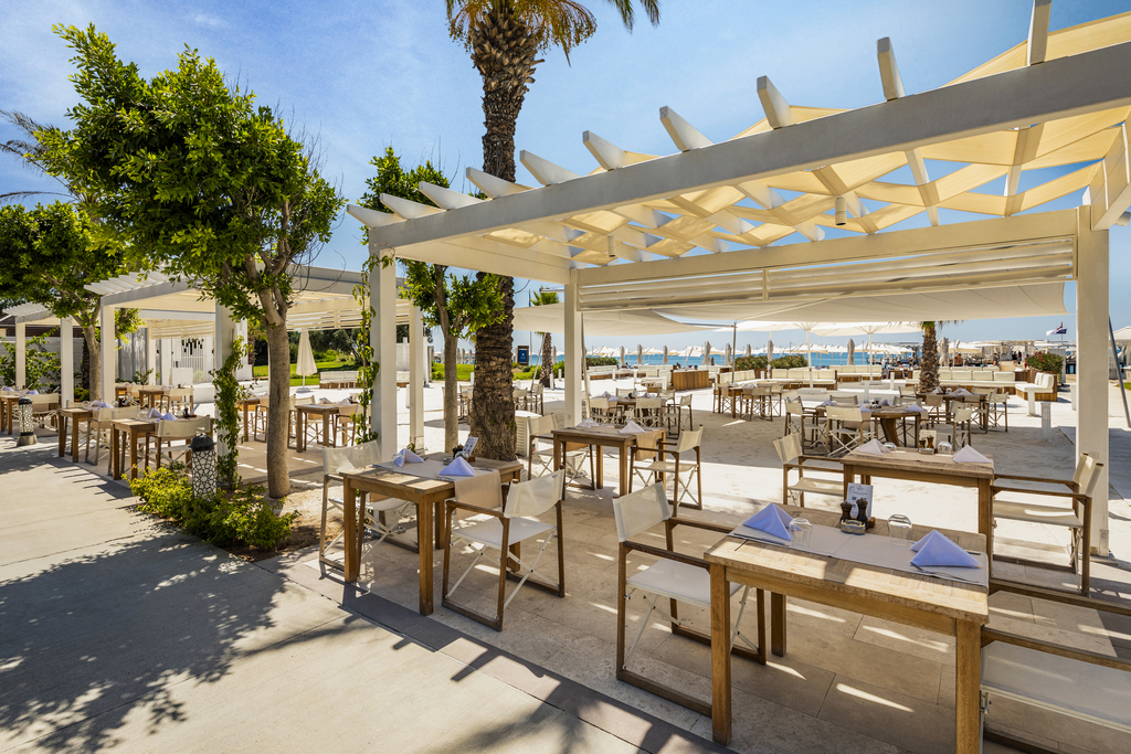 Palm Lounge & Bar