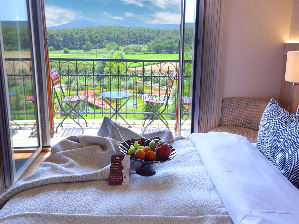 Suite Room