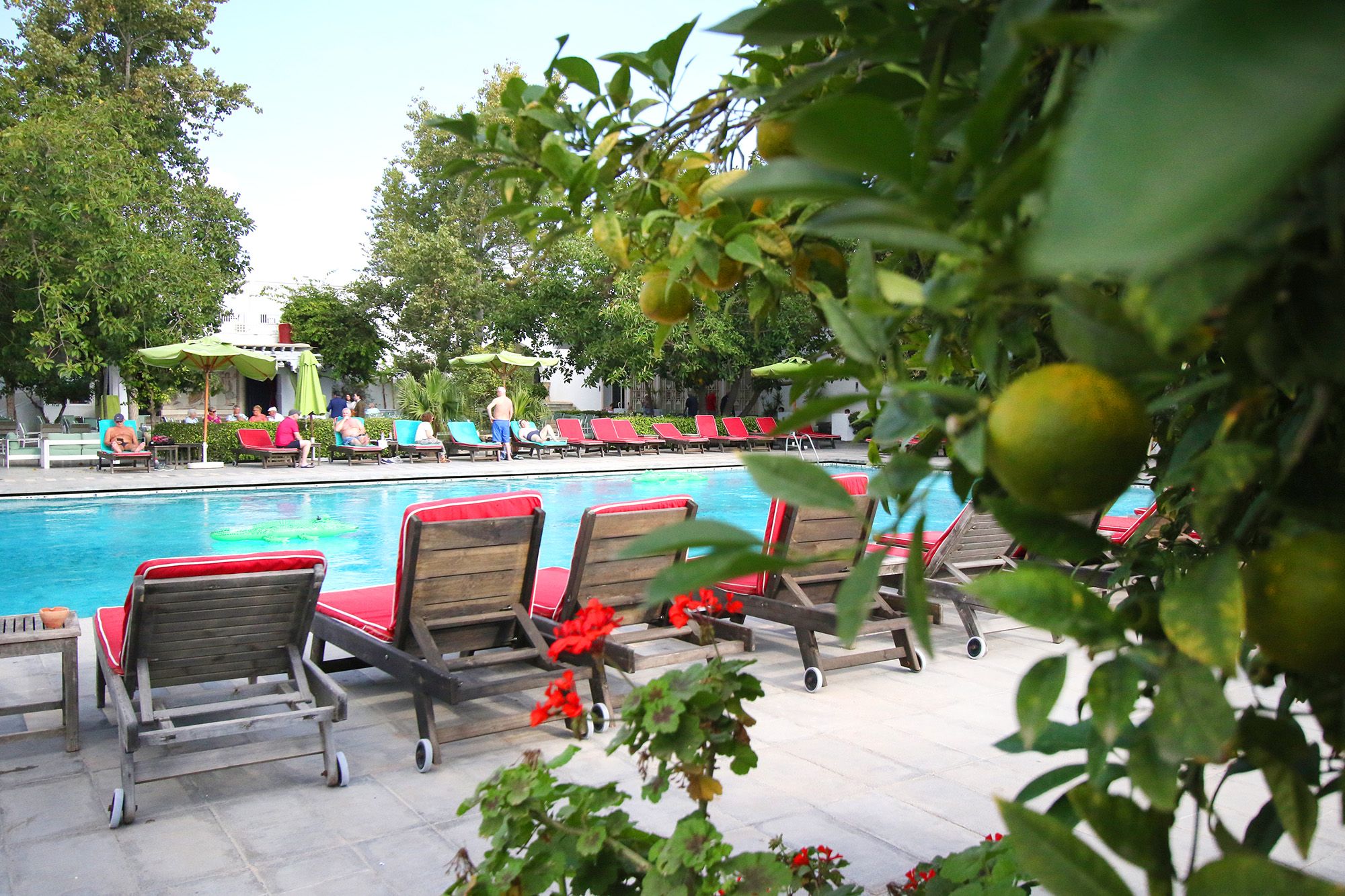 Piscina deschisă