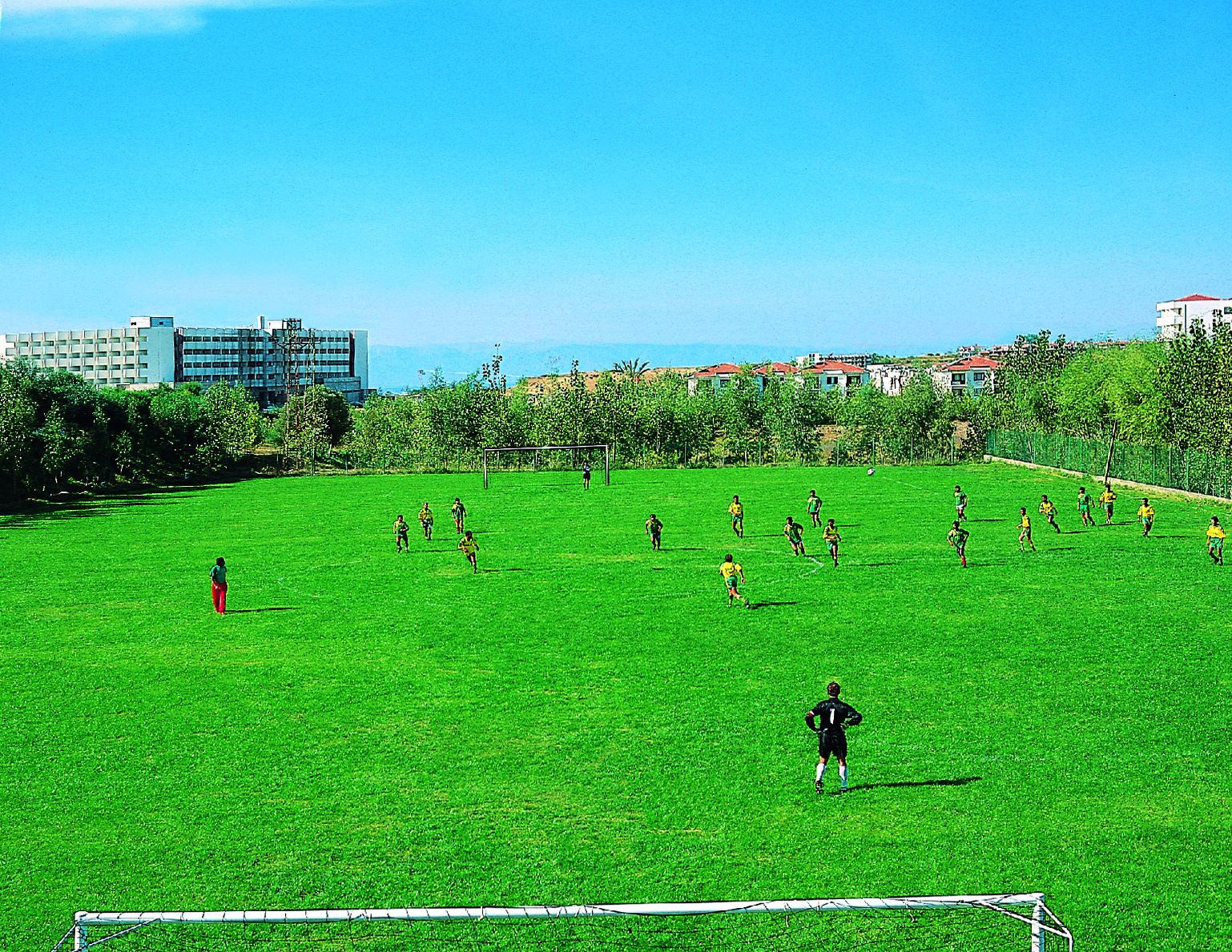 Sport
